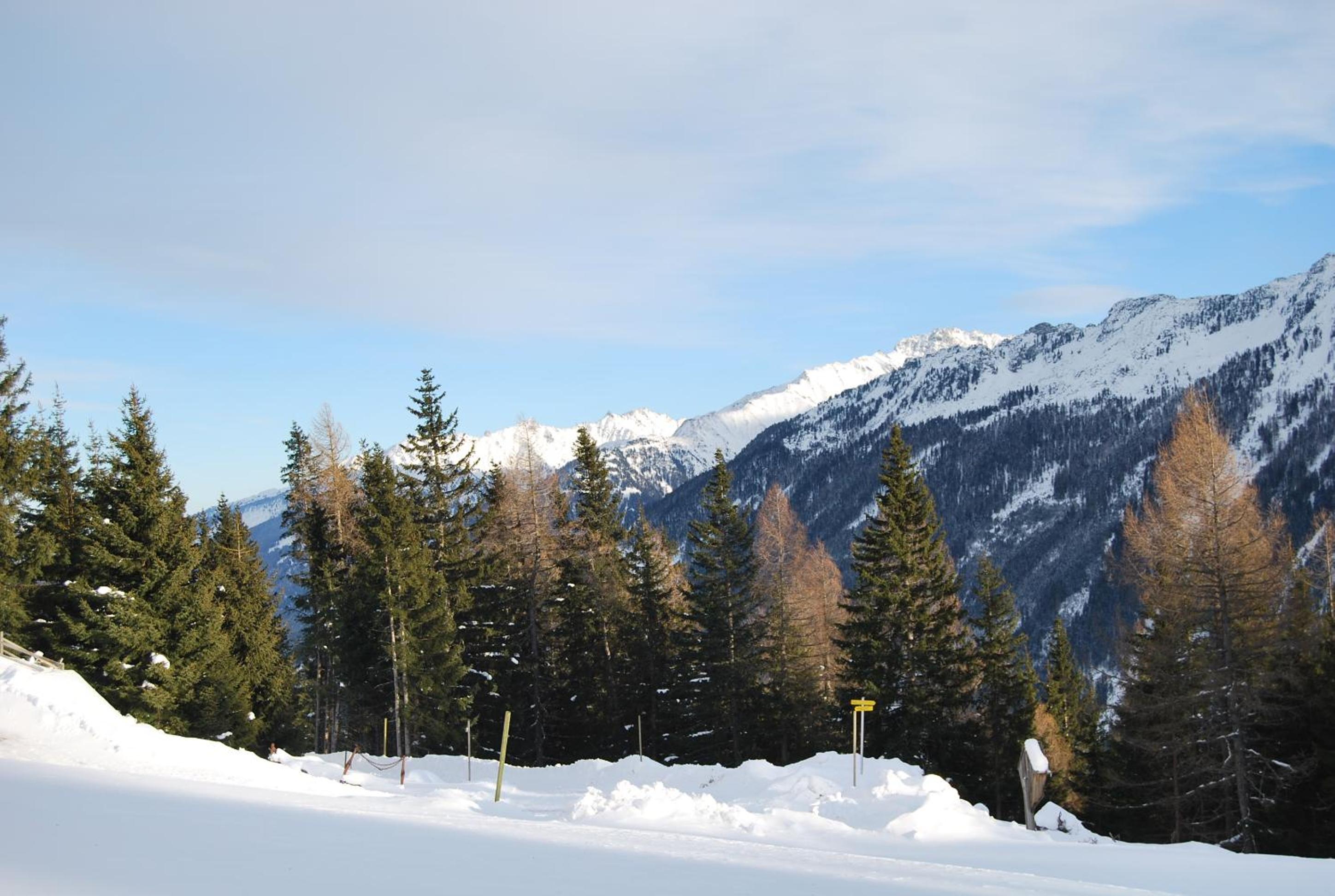 Almhäuser Filzsteinalpe Almhaus 205