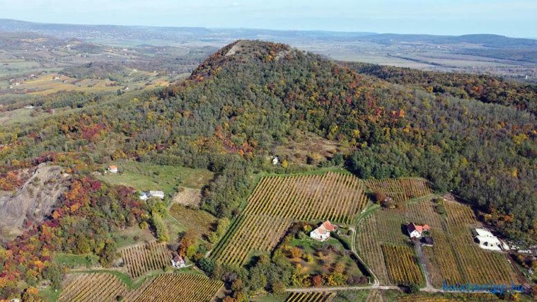 Erdődi Pince Badacsony view 4