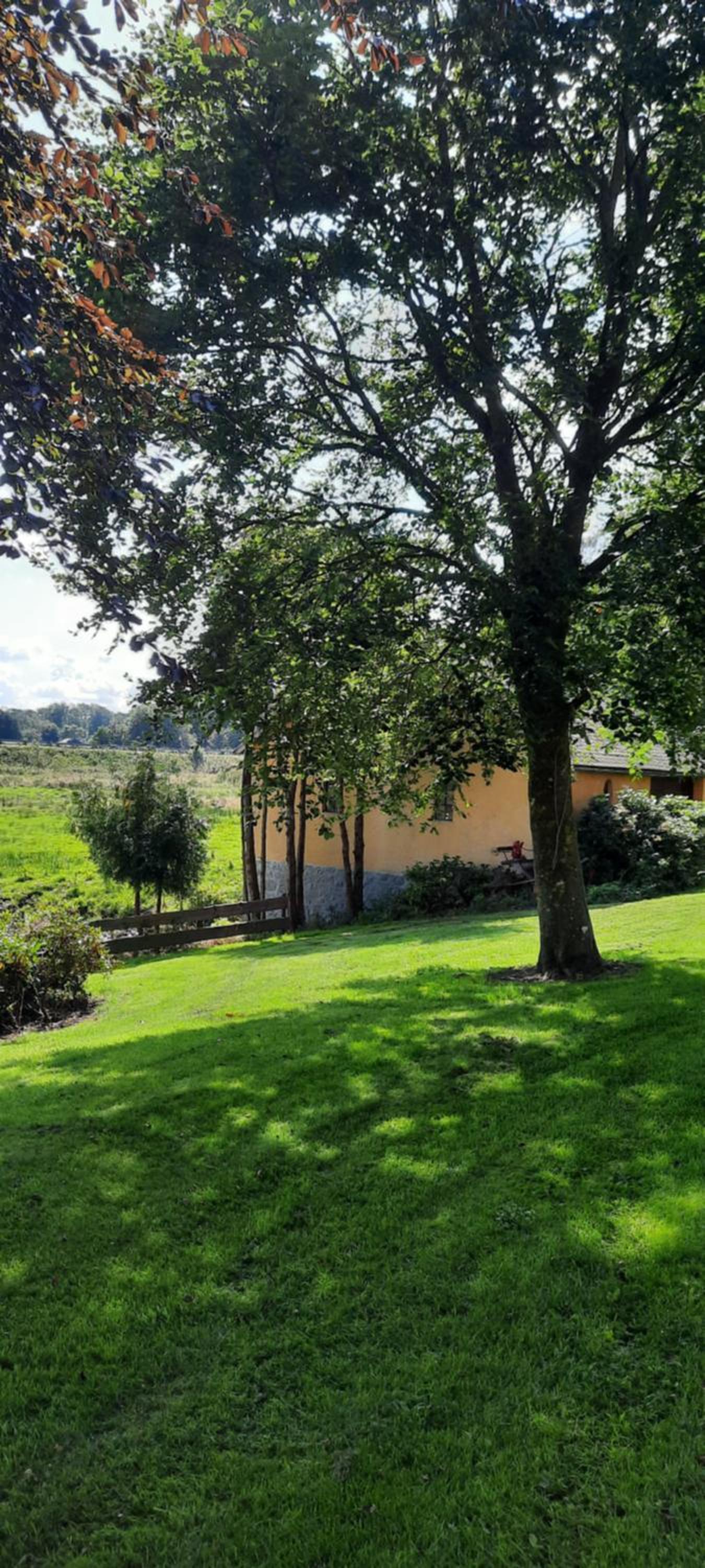 Dybvad Mølle bed and breakfast