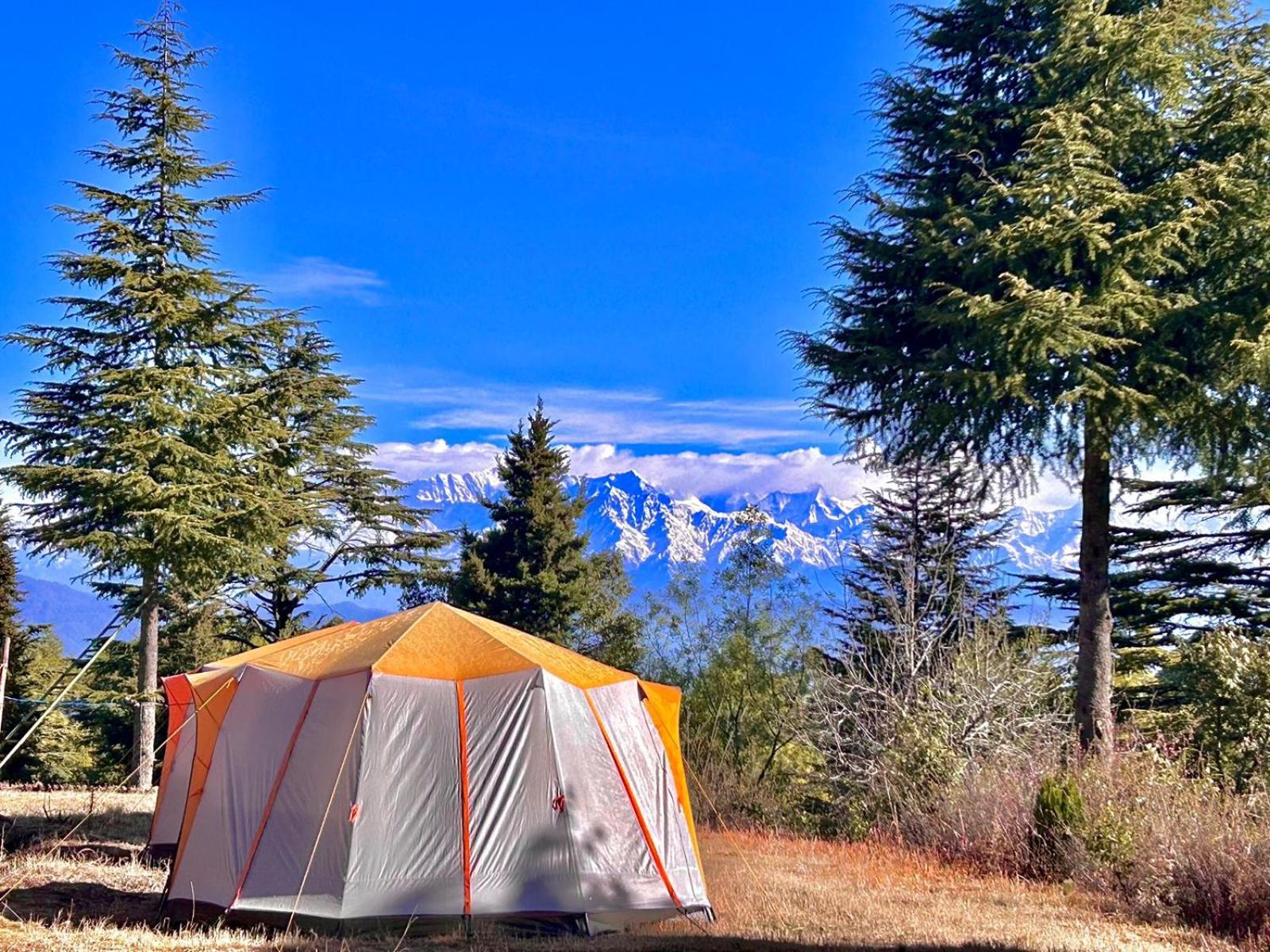 Wilderness camp