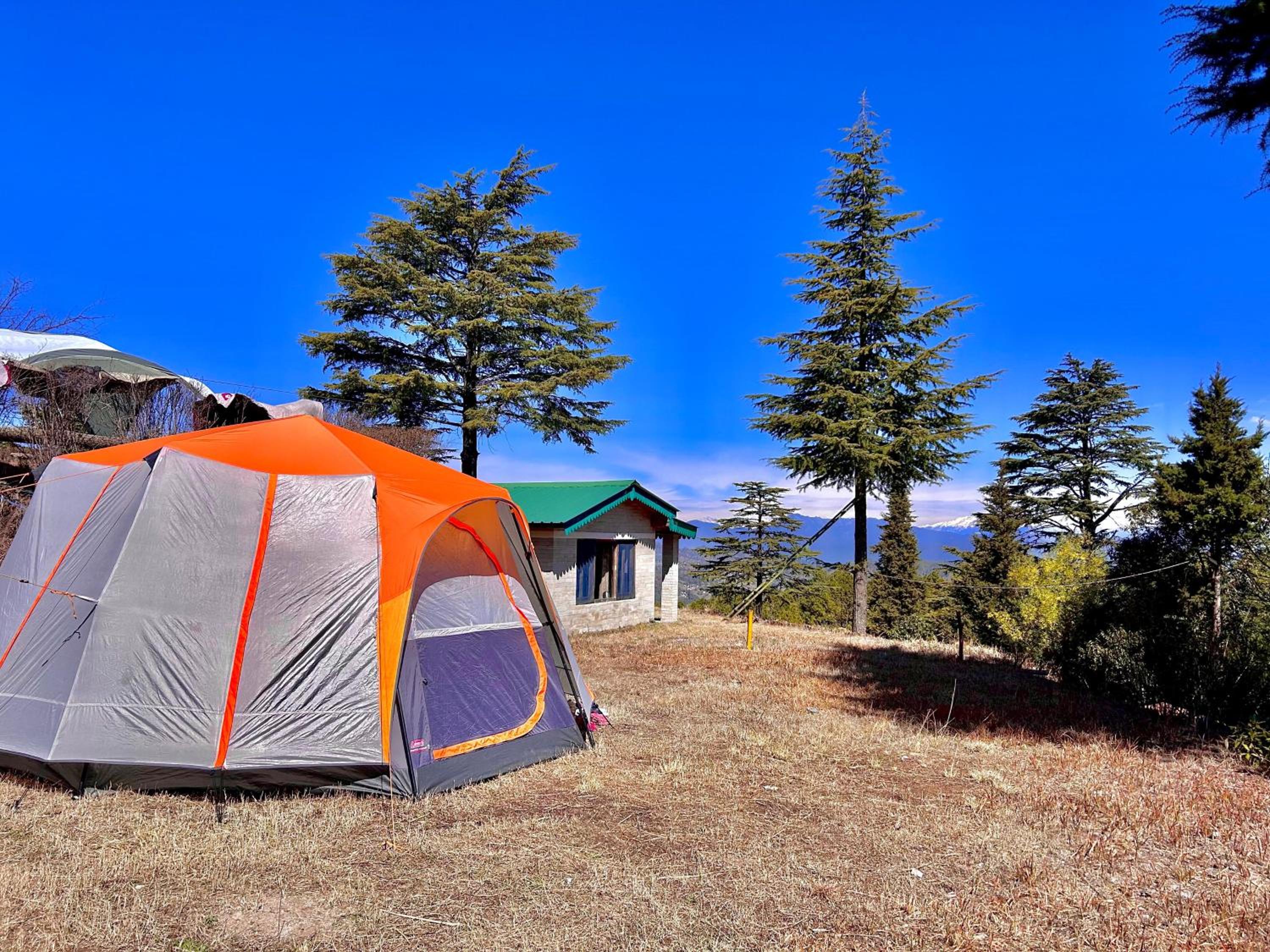 Wilderness camp