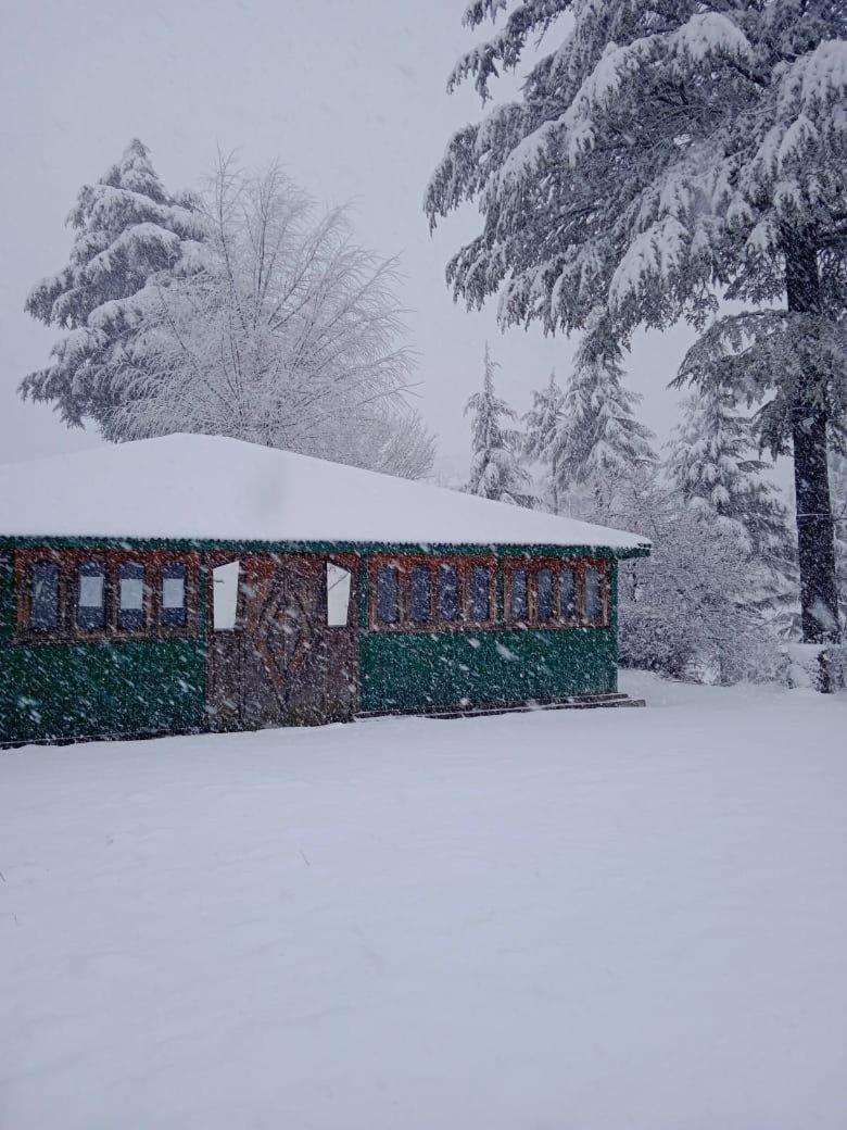 Wilderness camp