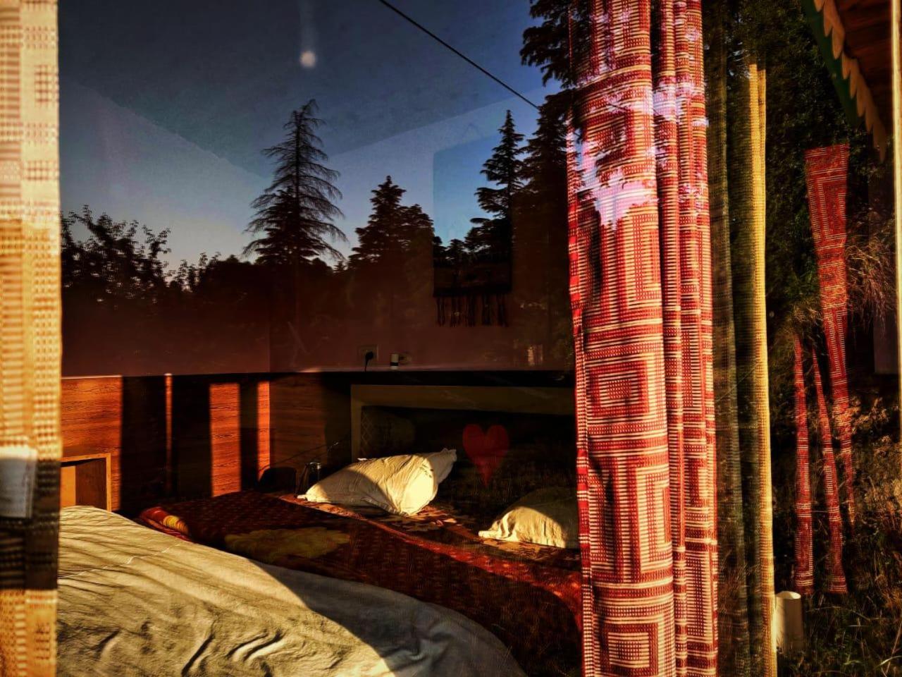 Wilderness camp