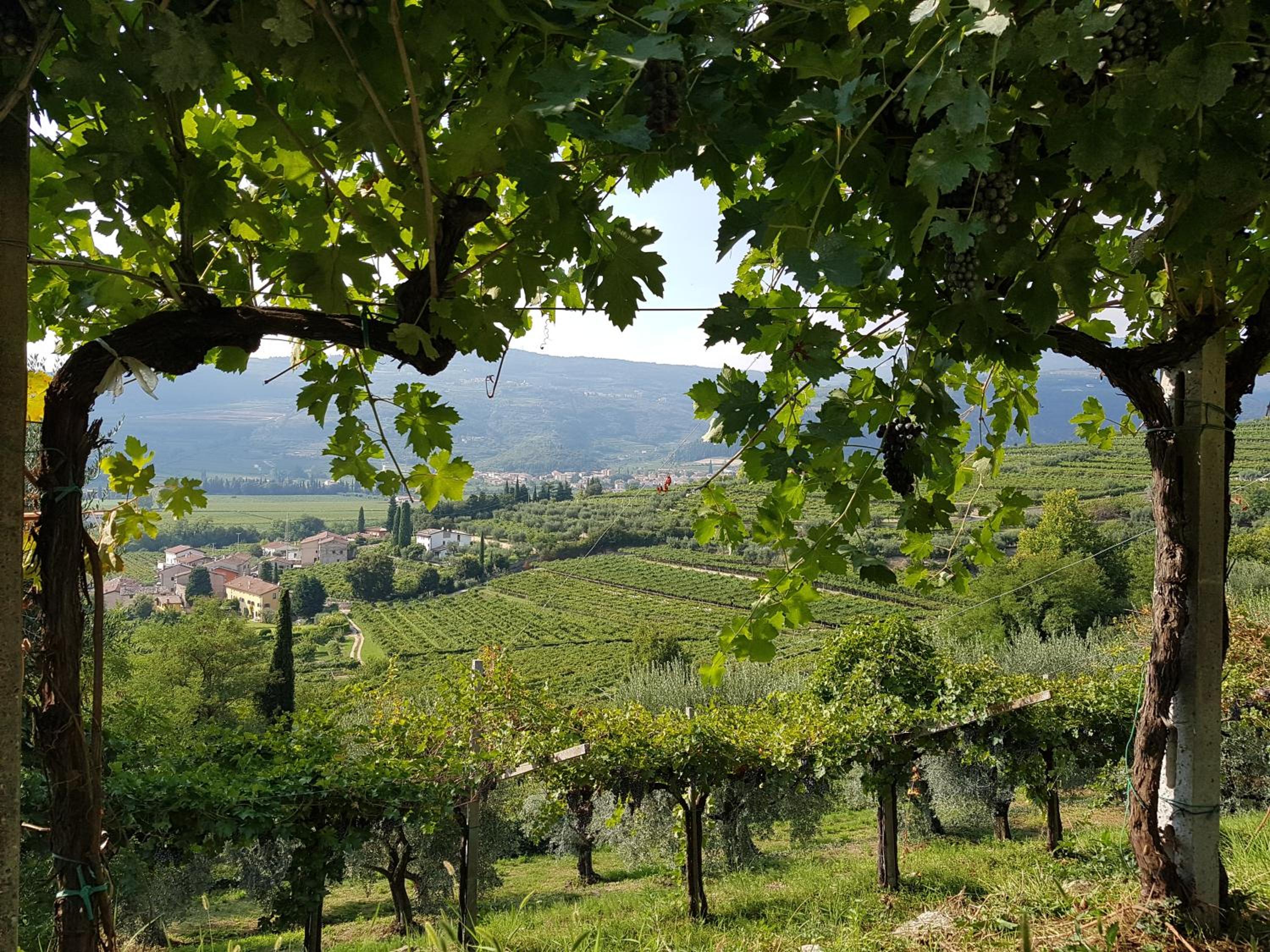Agriturismo Valentina Cubi