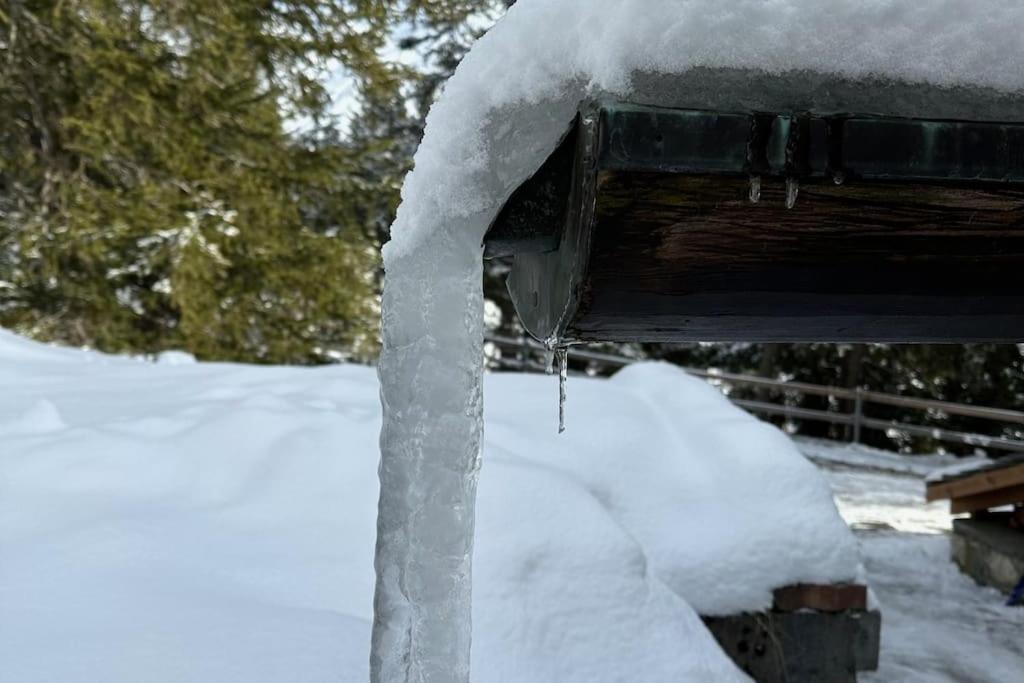 Ski In&Out, Lenzerheide freistehendes Top CHALET, urchig, gross