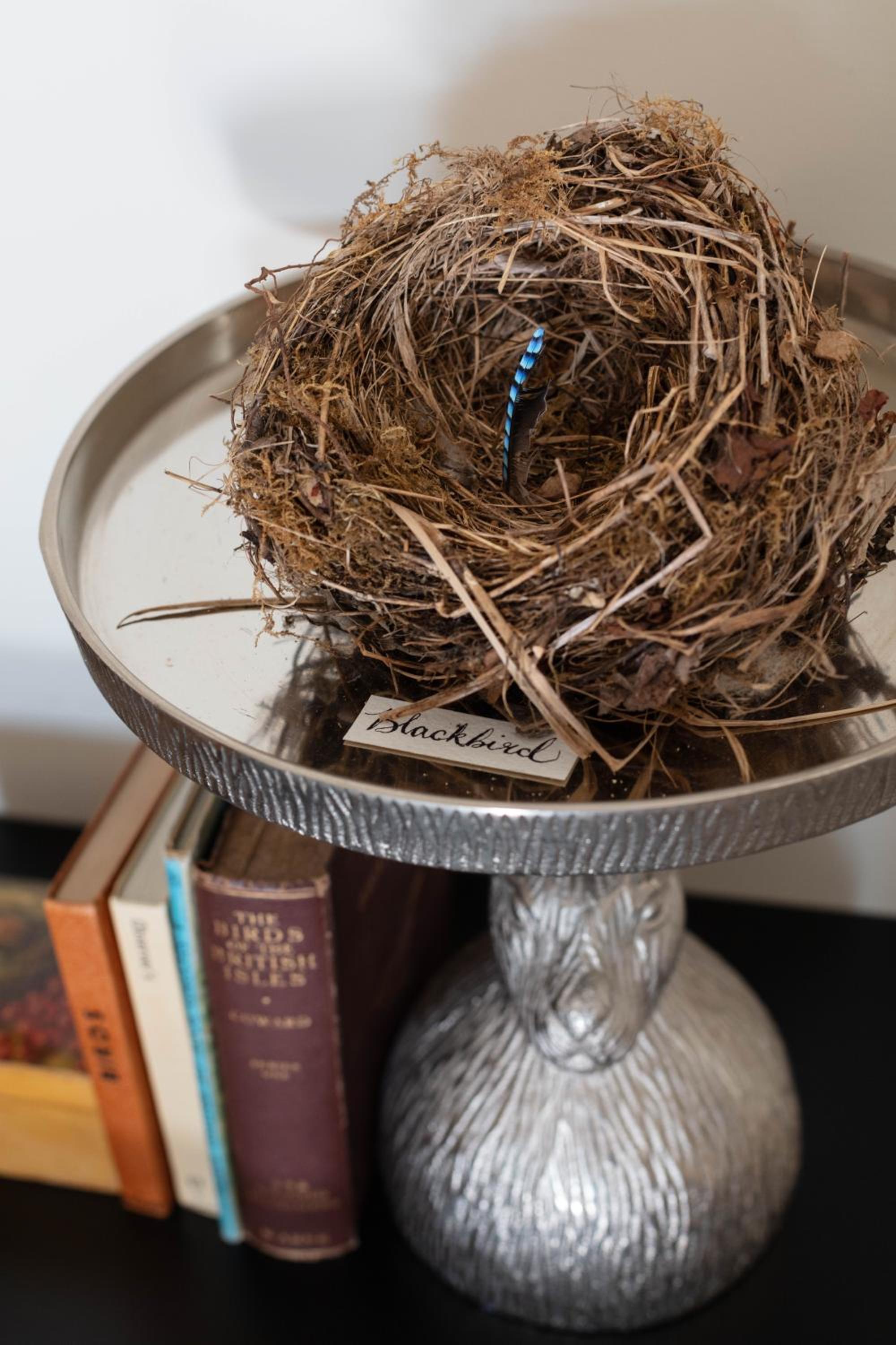 Nest Stay By The Butler Collection view 4