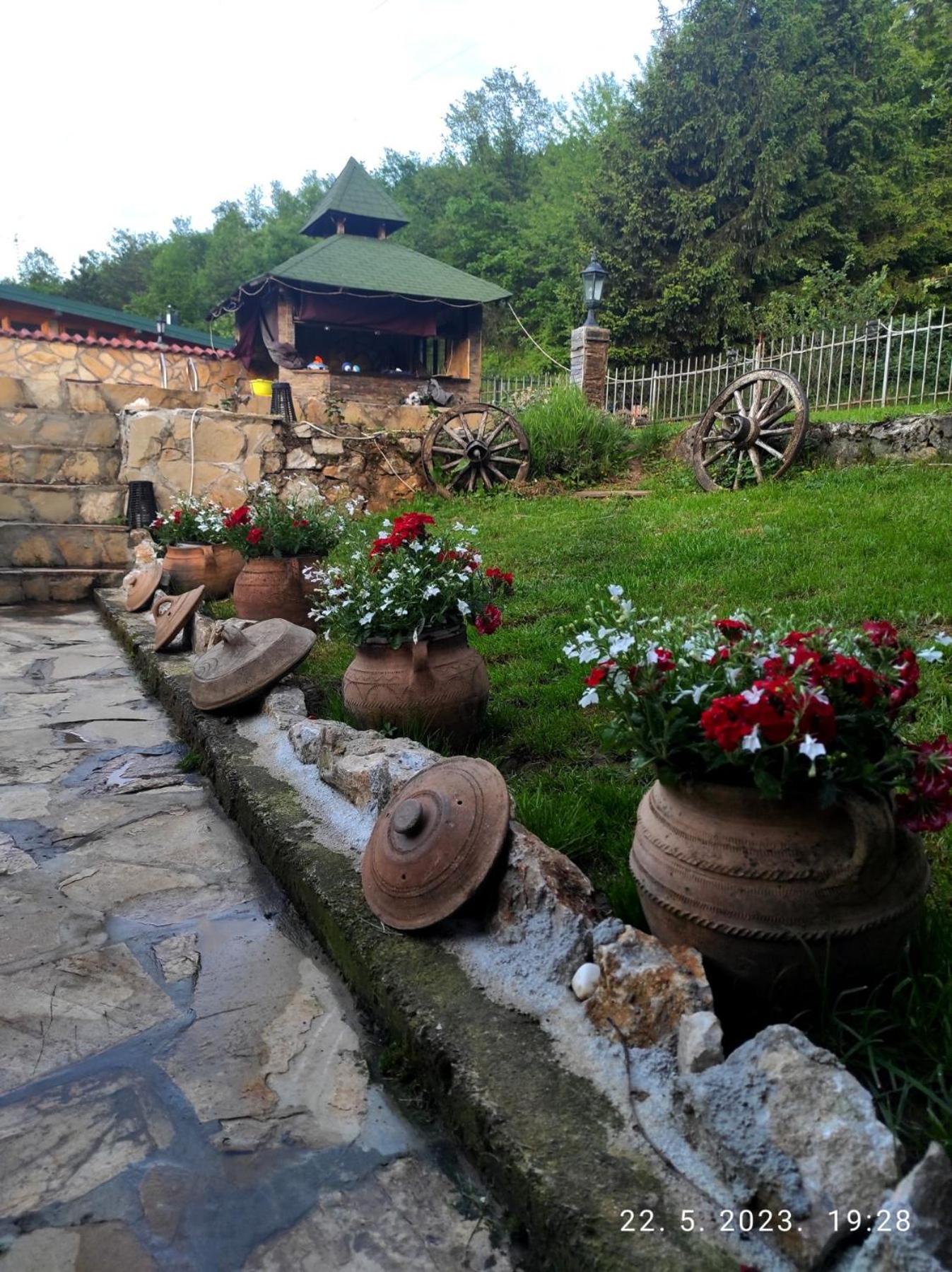 Photo 22