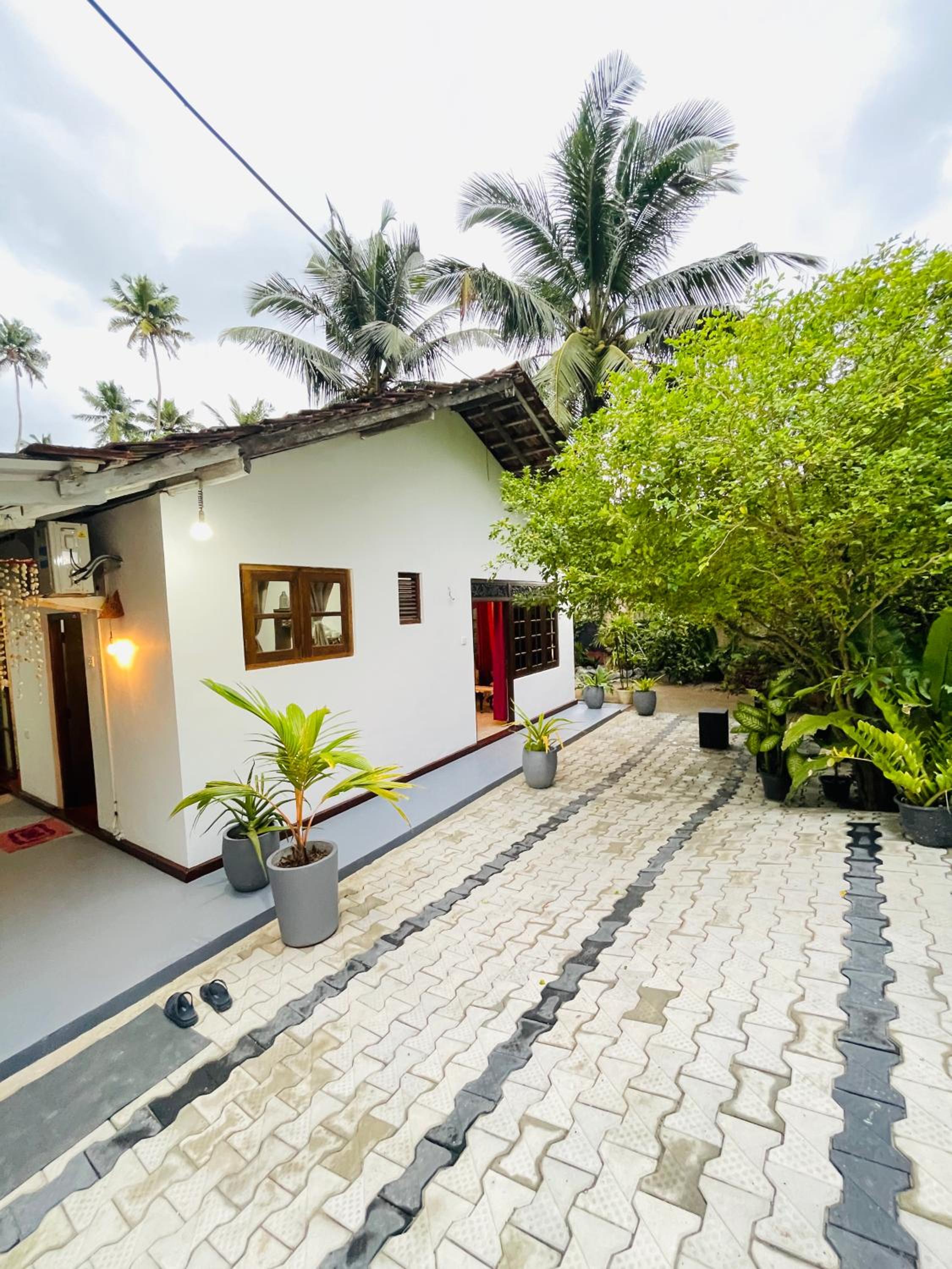 Lavo Villa