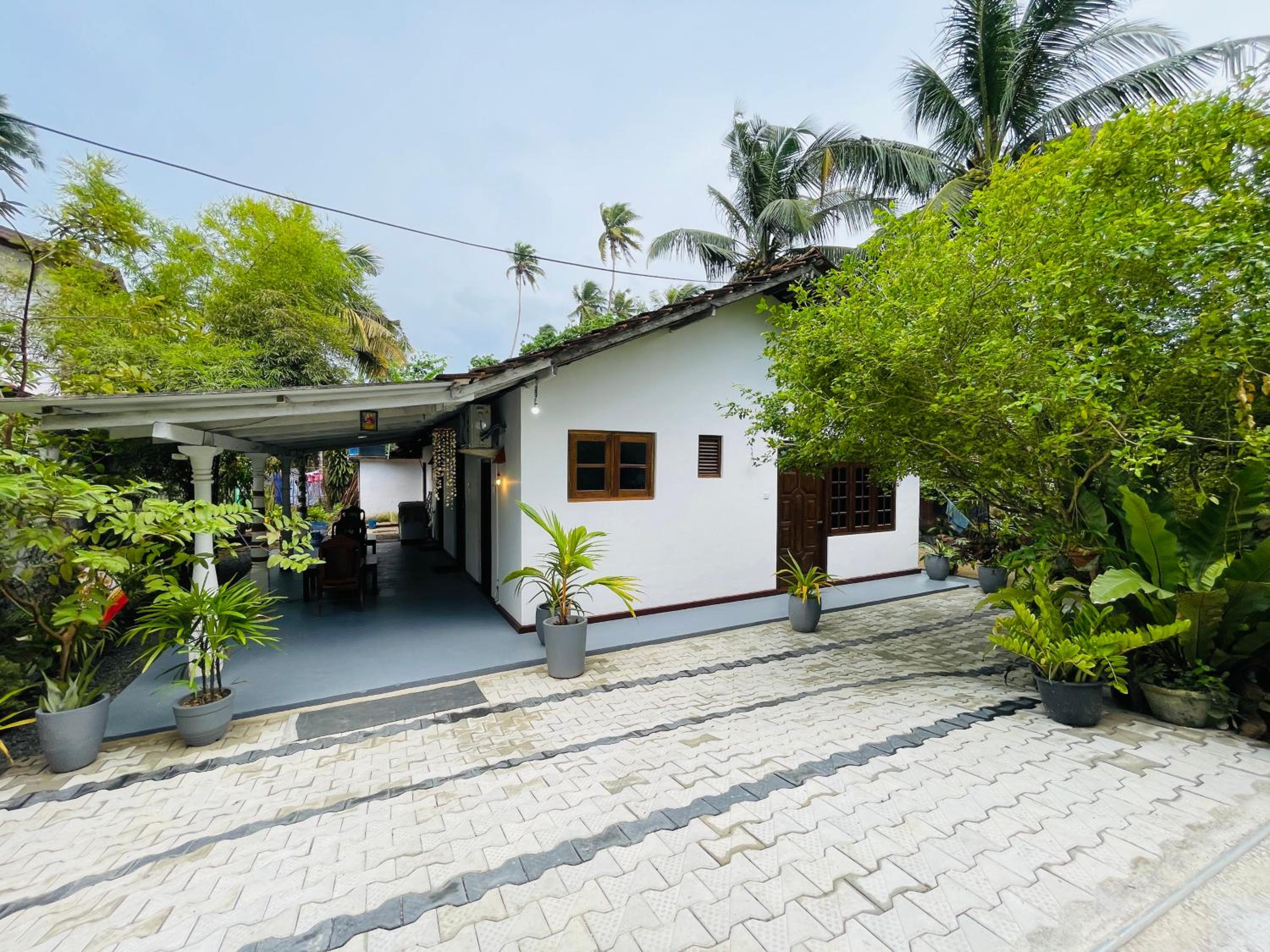 Lavo Villa