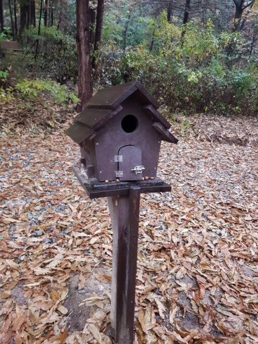 Cancan Guesthouse