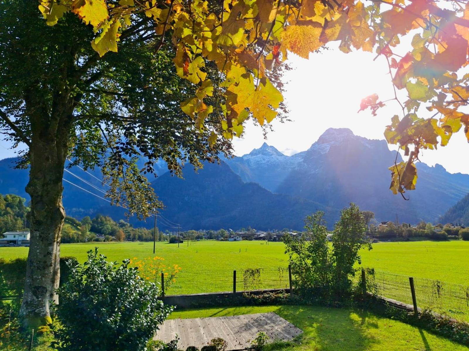Chalet Scheffsnoth