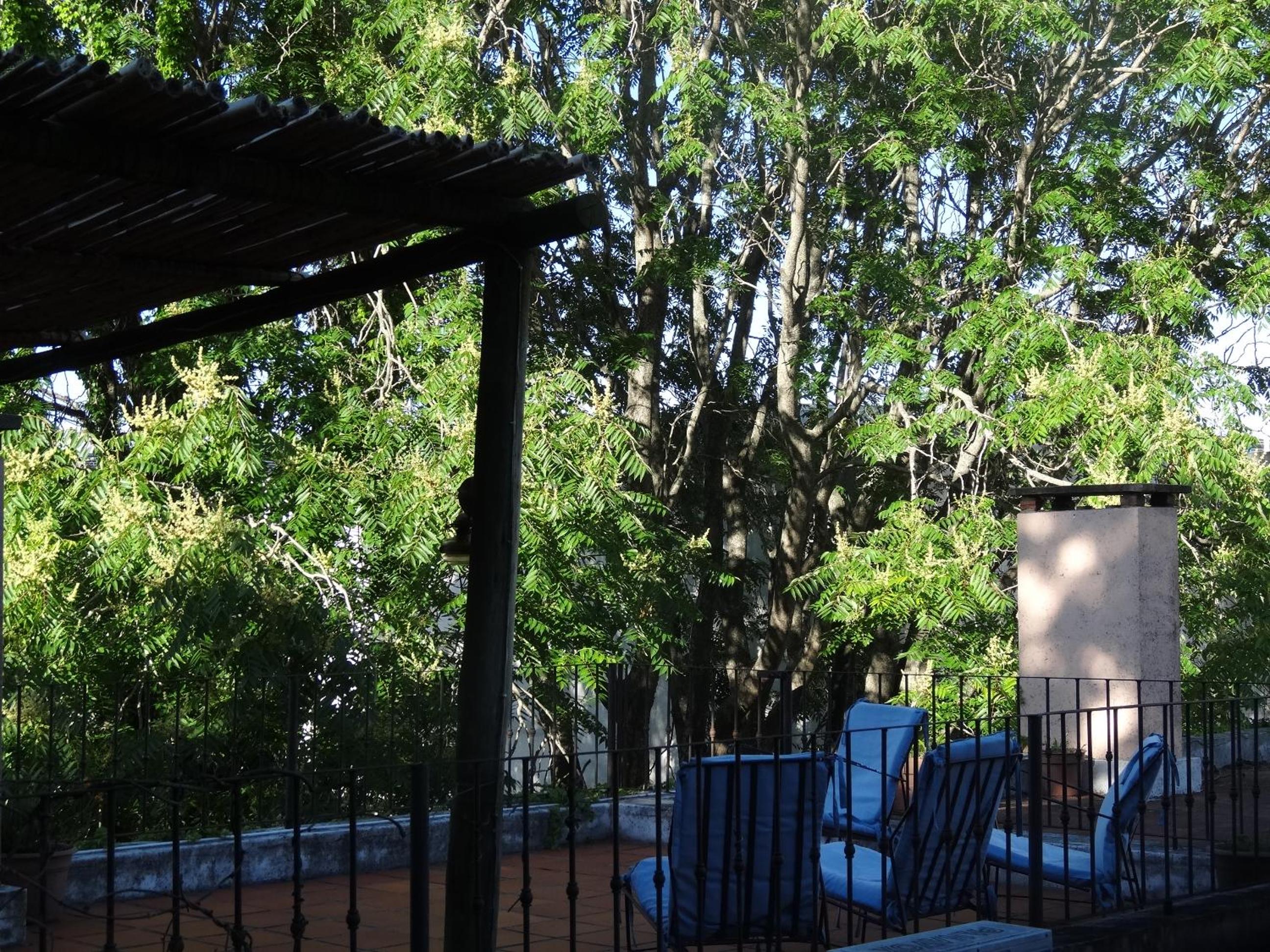 Posada de la Flor