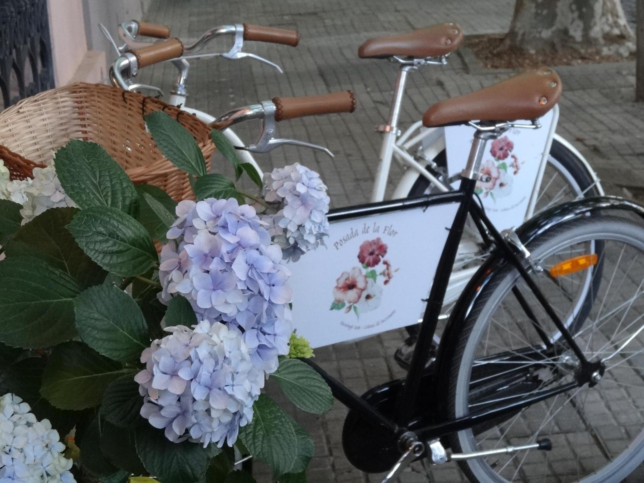 Posada de la Flor