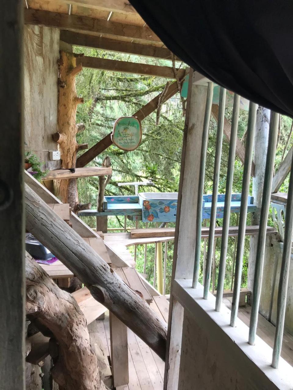 Forastera cabin