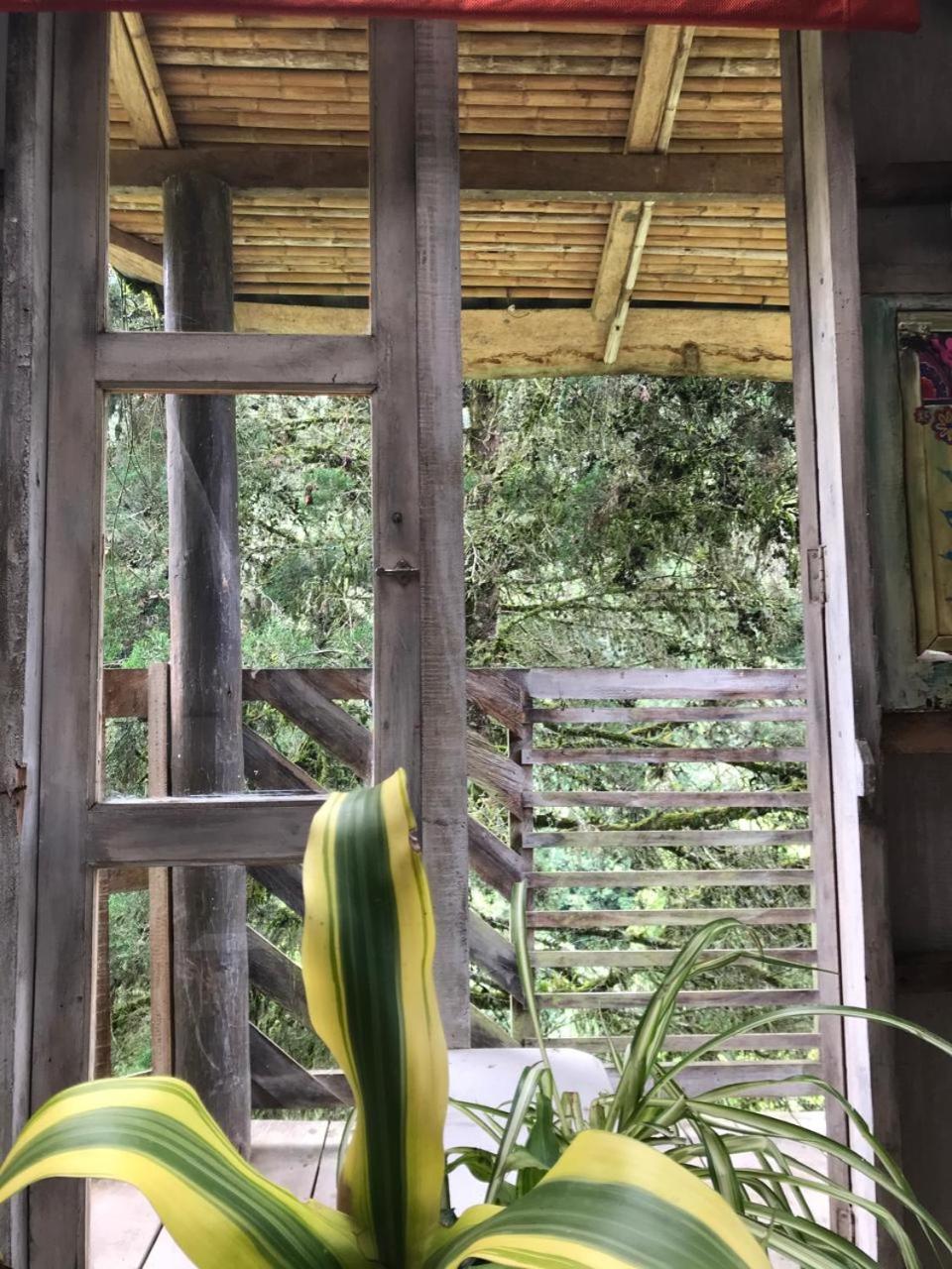 Forastera cabin
