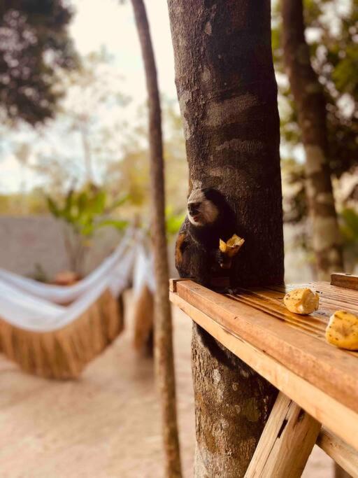 Casa 5 Quartos Trancoso