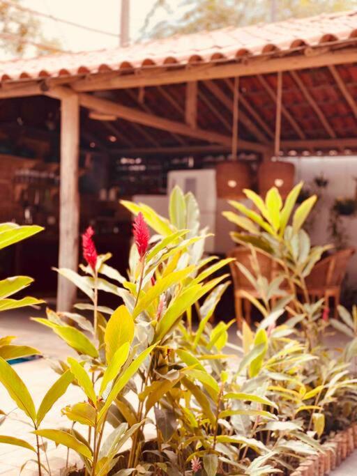 Casa 5 Quartos Trancoso