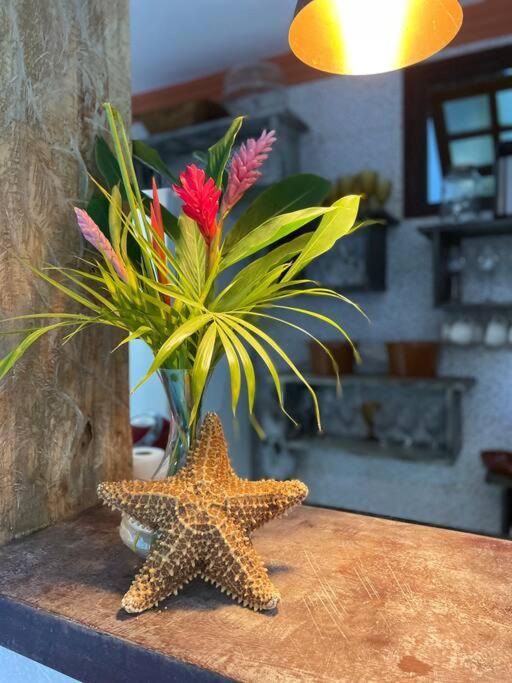 Casa 5 Quartos Trancoso