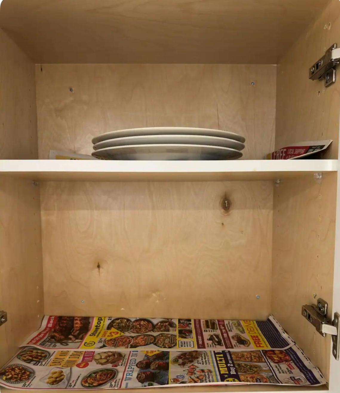 Pvt Studio Near Waterloo Airport & Minutes to Downtown Basement unit