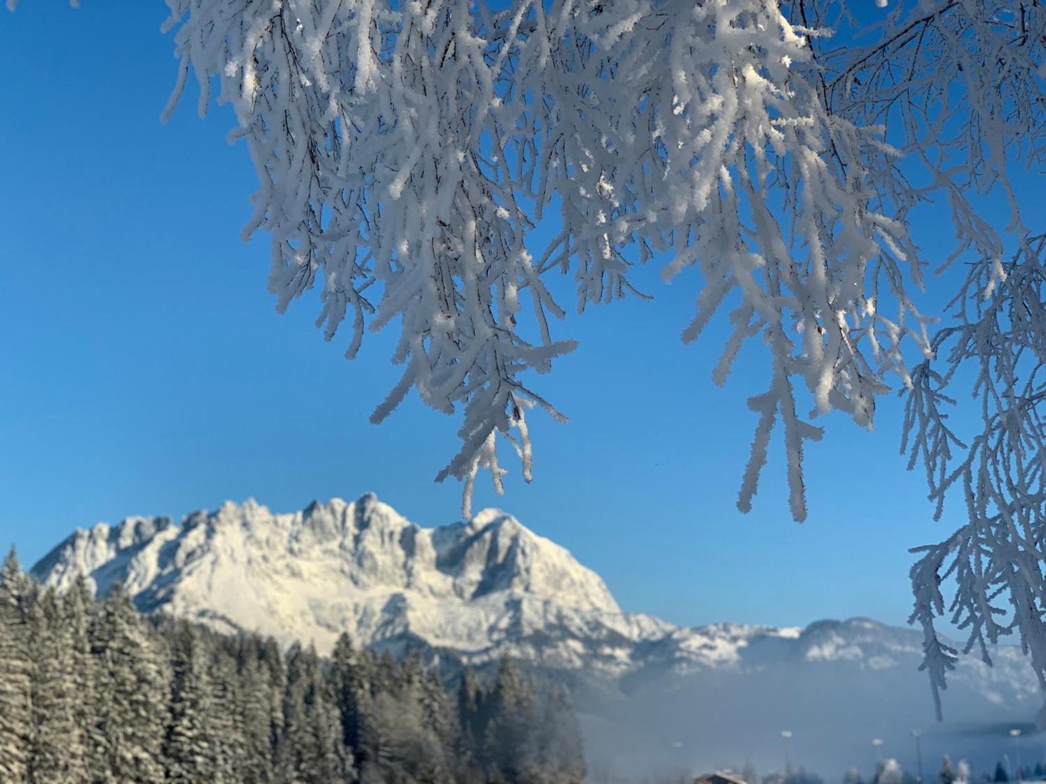 ALPIN CHARME APARTMENTS Boutique Chalet Kitzbichl