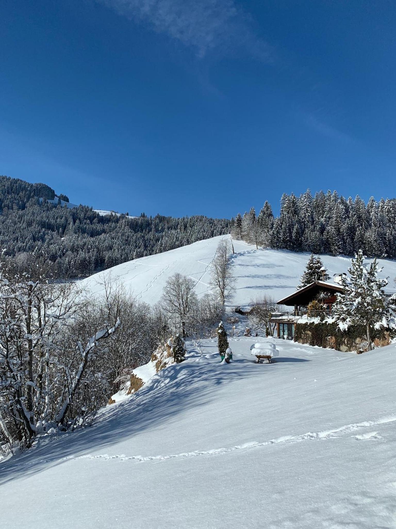 ALPIN CHARME APARTMENTS Boutique Chalet Kitzbichl