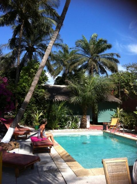 ECOLODGE SAFARI