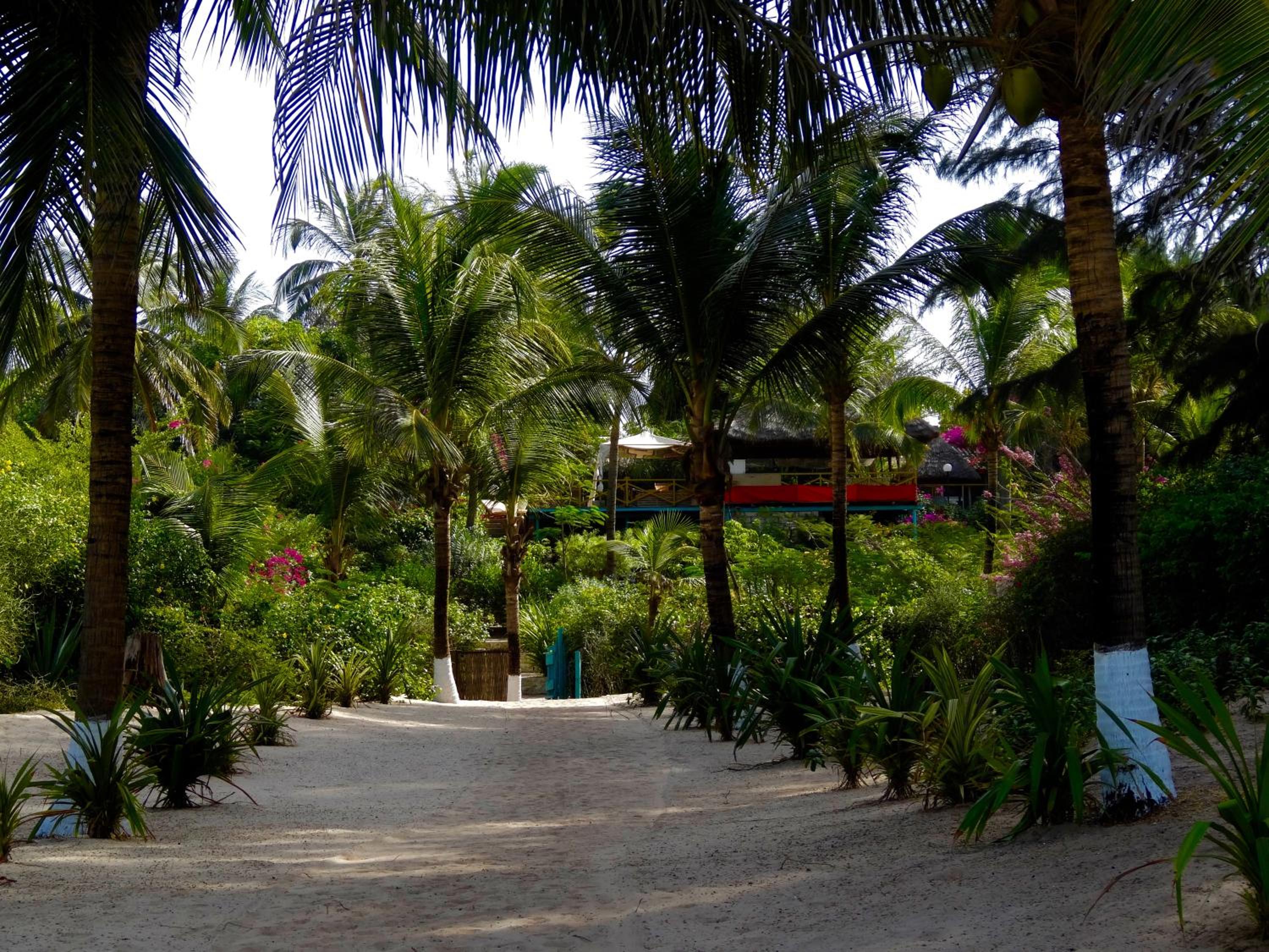 ECOLODGE SAFARI