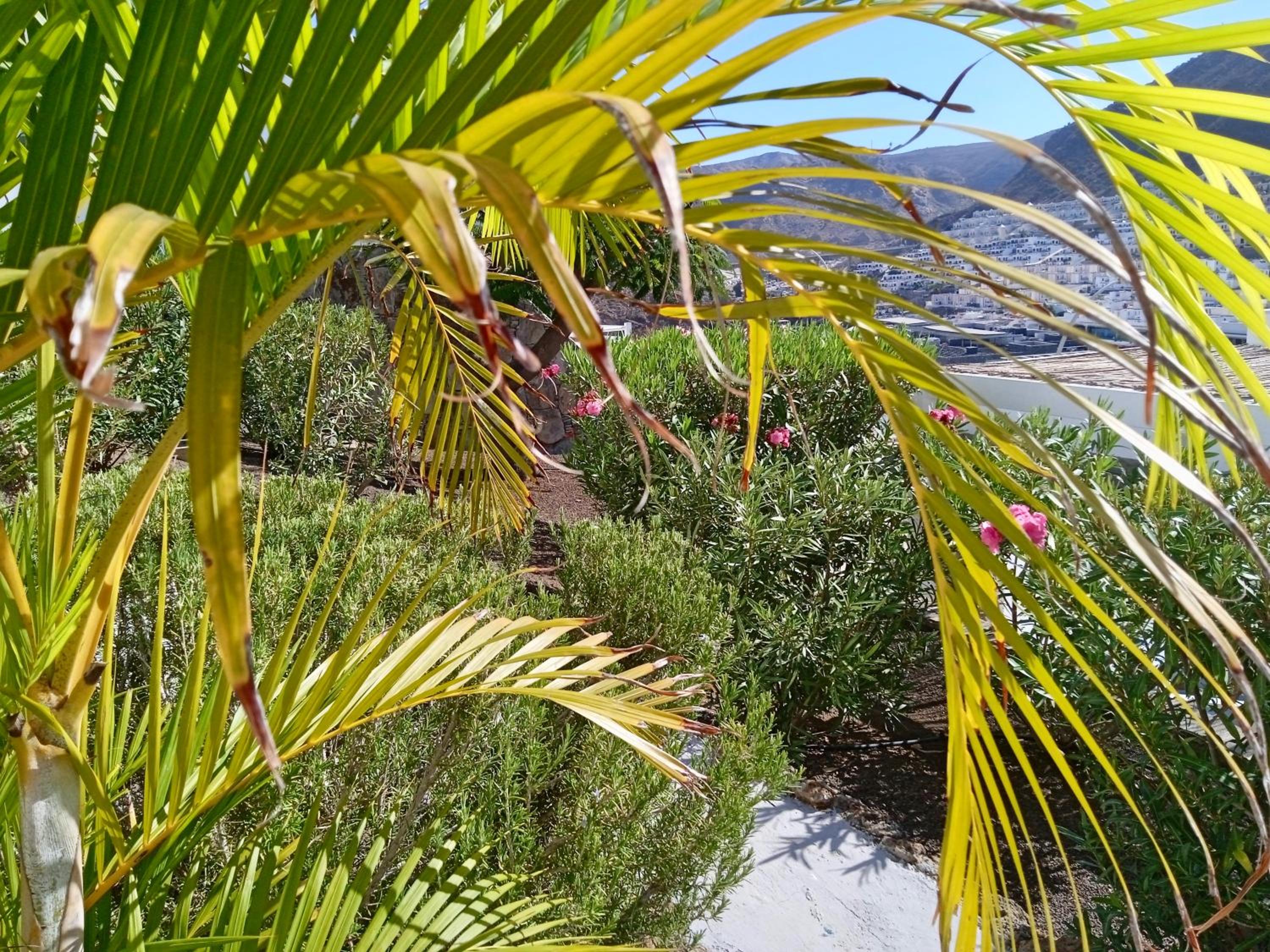Apartamento Deluxe en Canaima- Puerto Rico