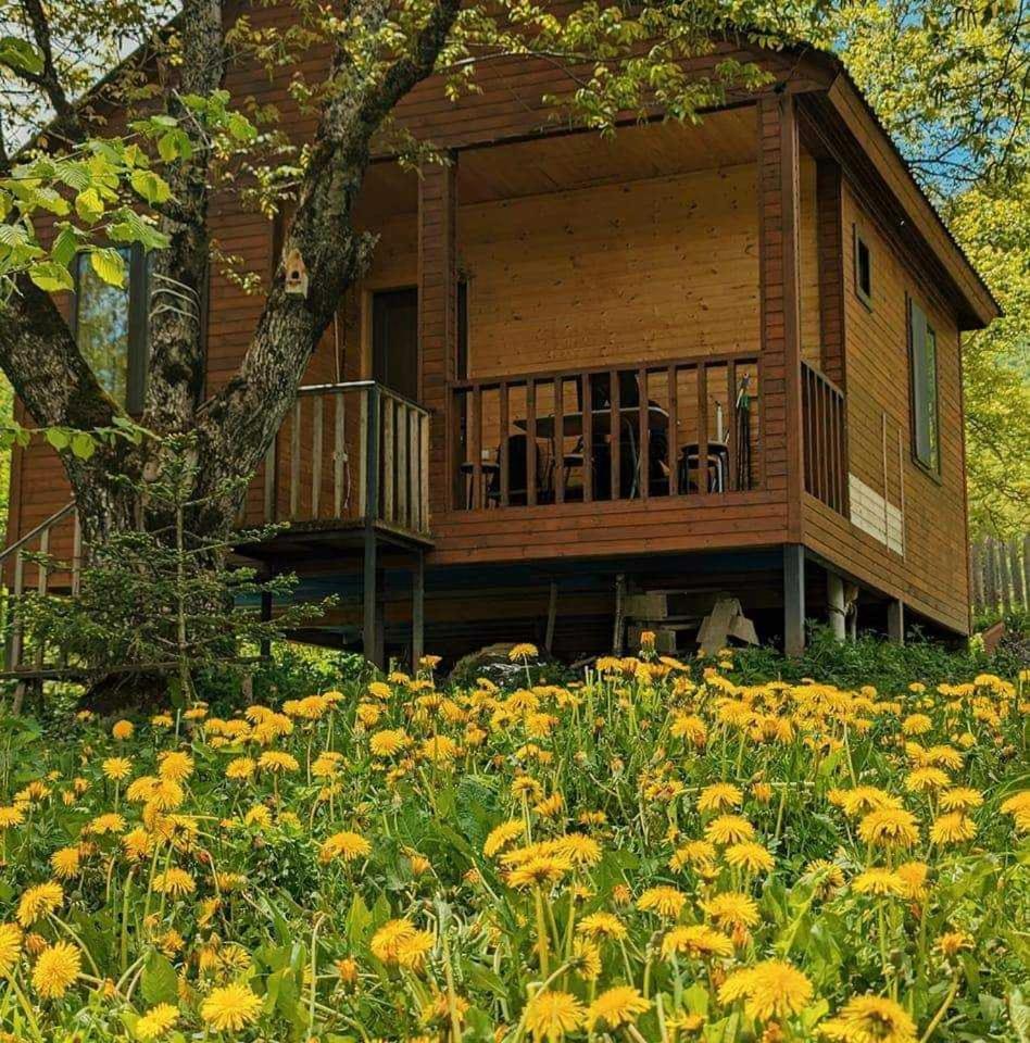 Guest House Brili