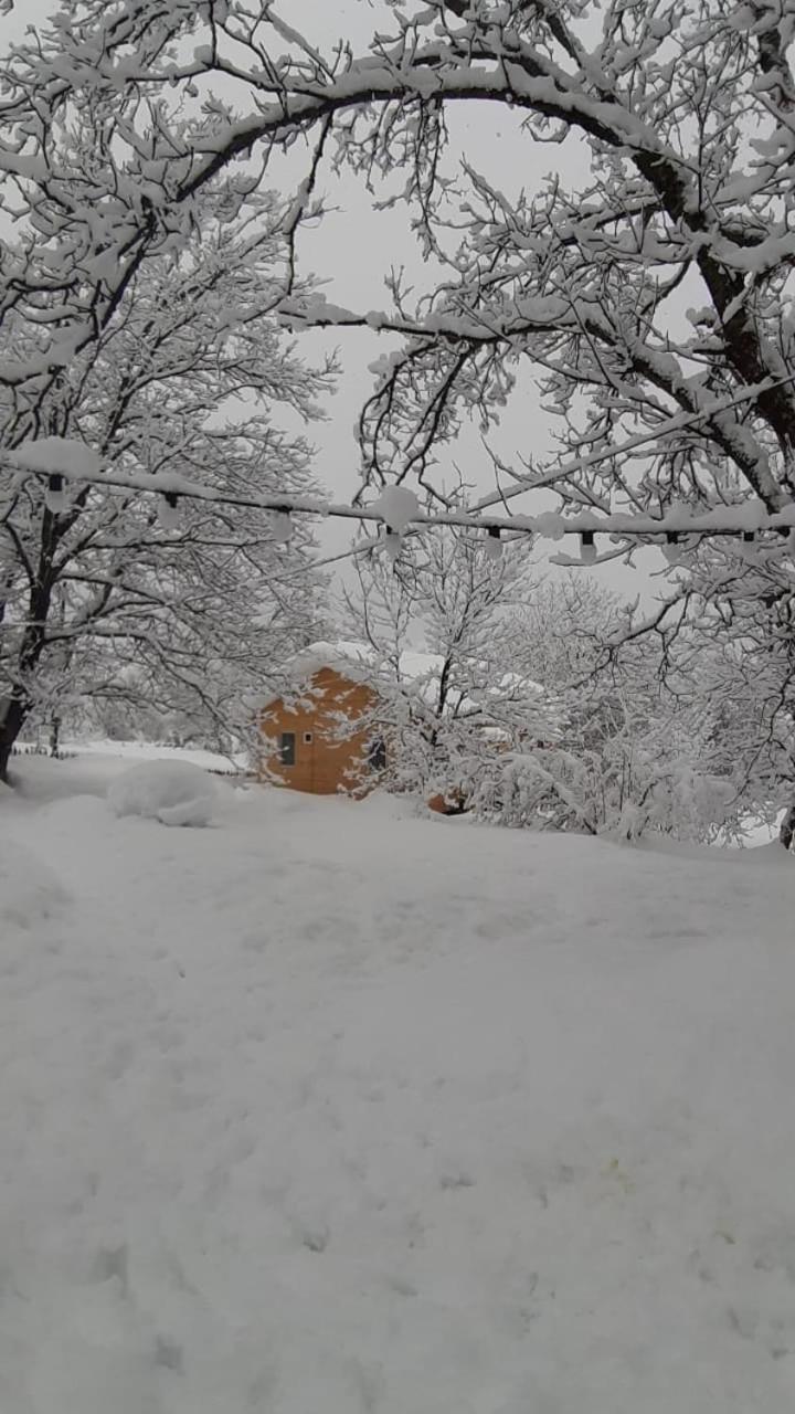 Guest House Brili