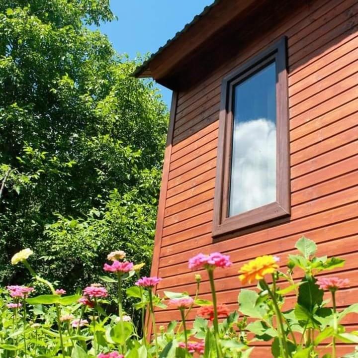 Guest House Brili