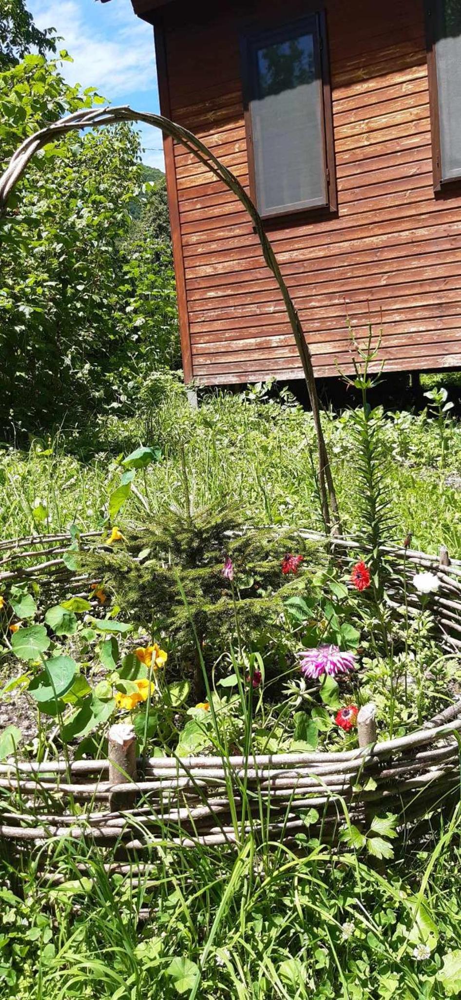 Guest House Brili