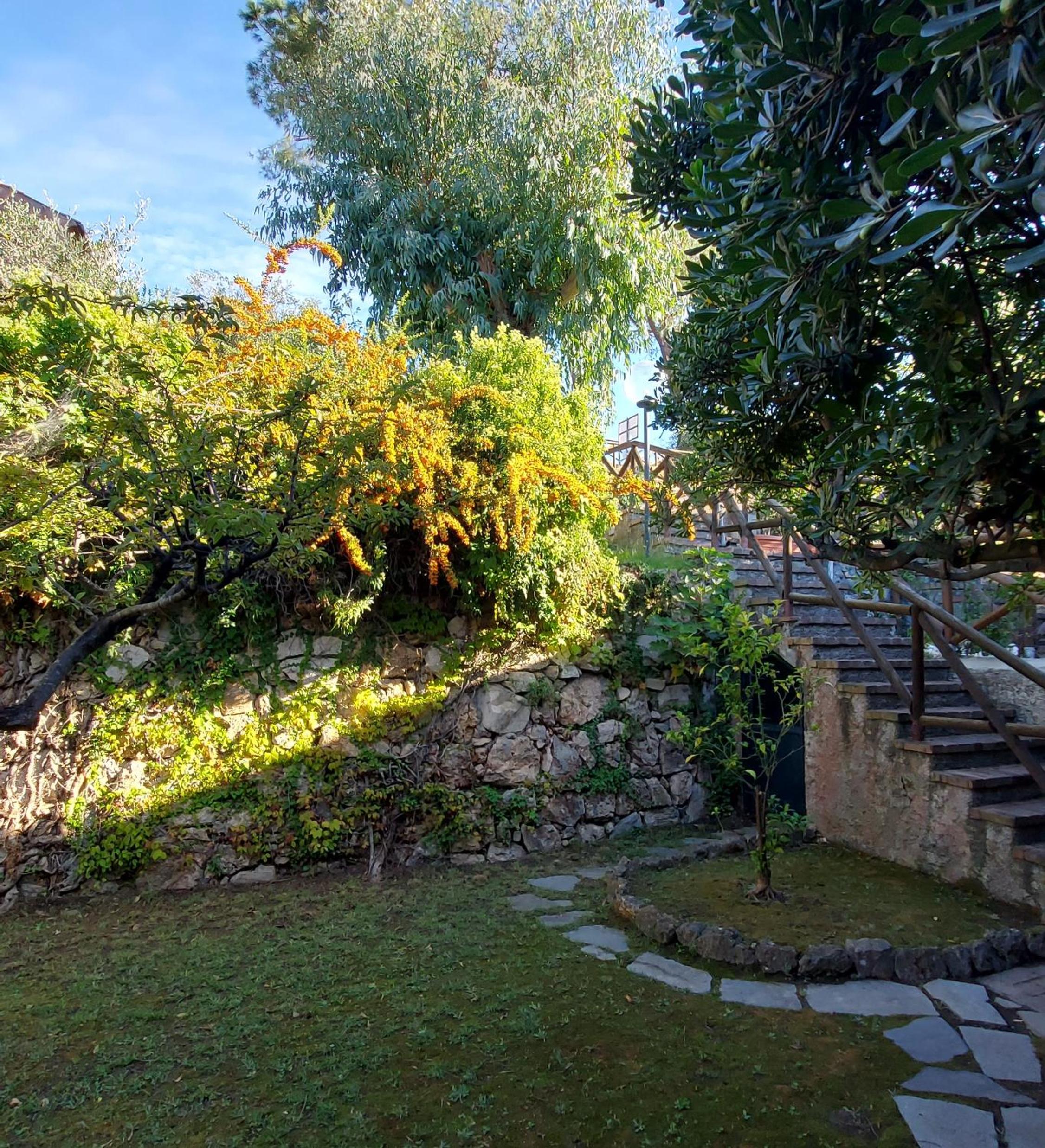 Photo 28