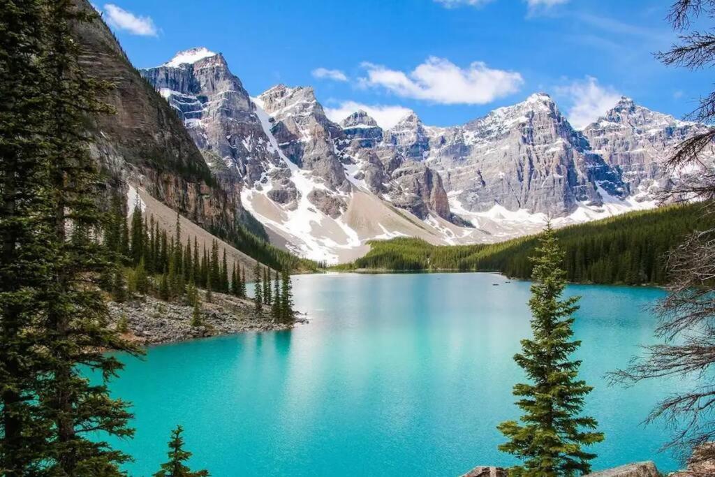 Voyager's Hub- Calgary InnerCity 3BD 4Bed Sleeps 8