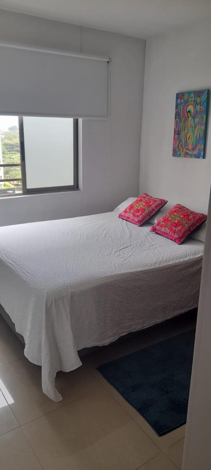 Paseo Real zona norte Conjunto residencial