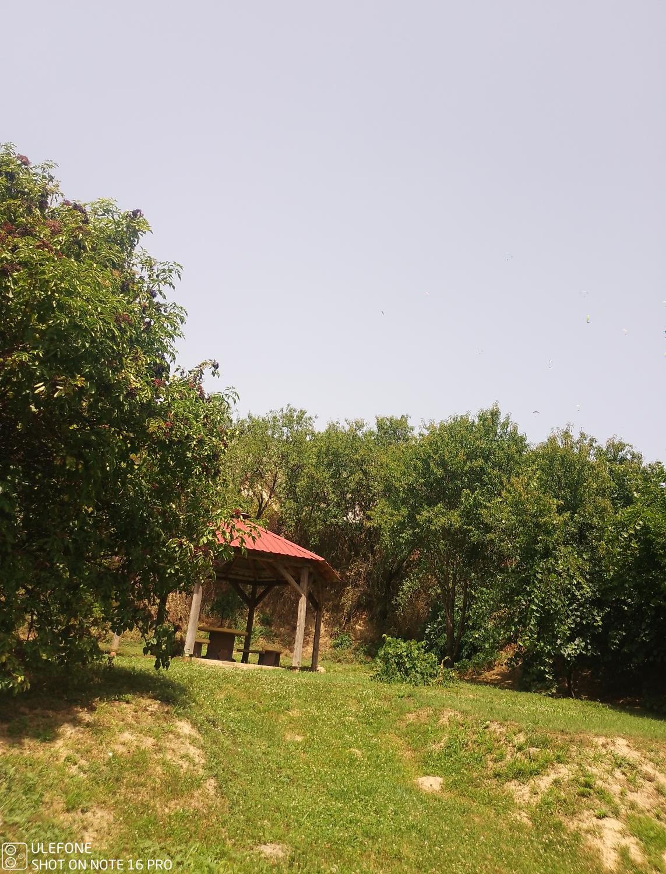 Photo 29