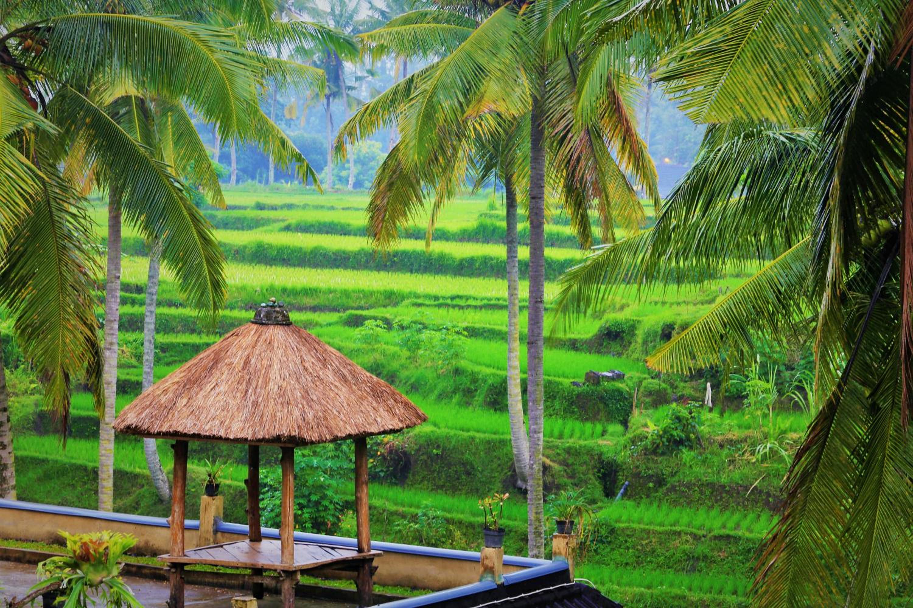 Junjungan Suite