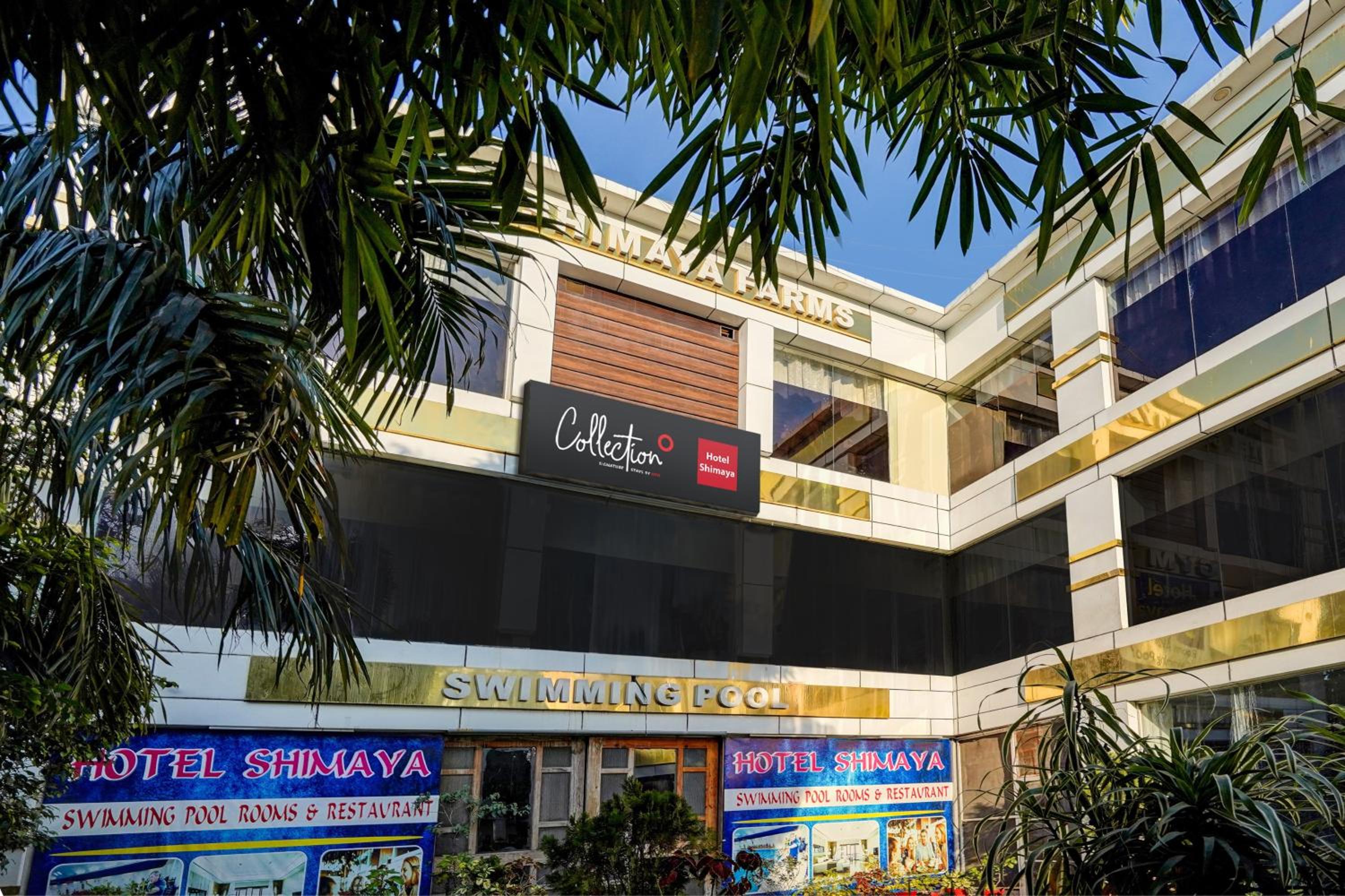 Capital O Shimaya view 2