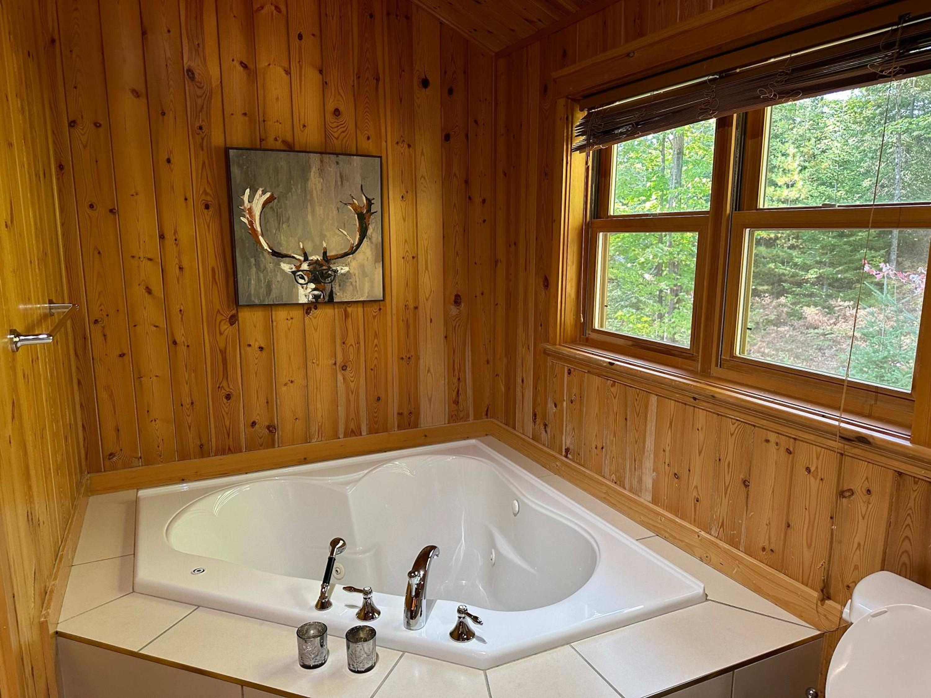 Blue Moose Private pool spa sauna lake access