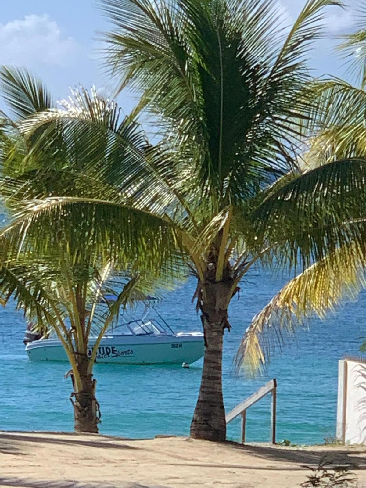 The Art Studio 12 Beachfront Apartment Barbados