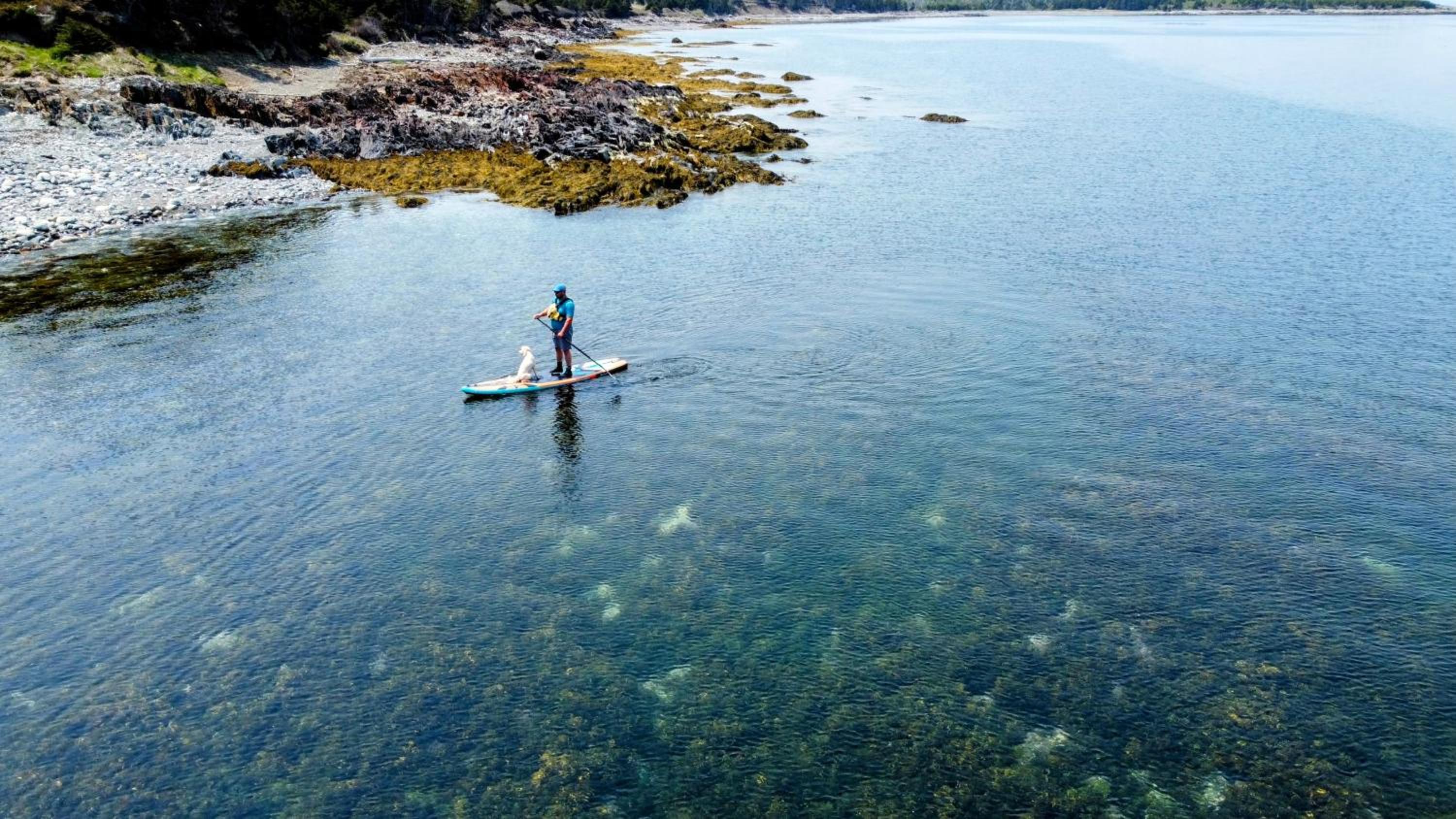 Cove & Sea Cabin