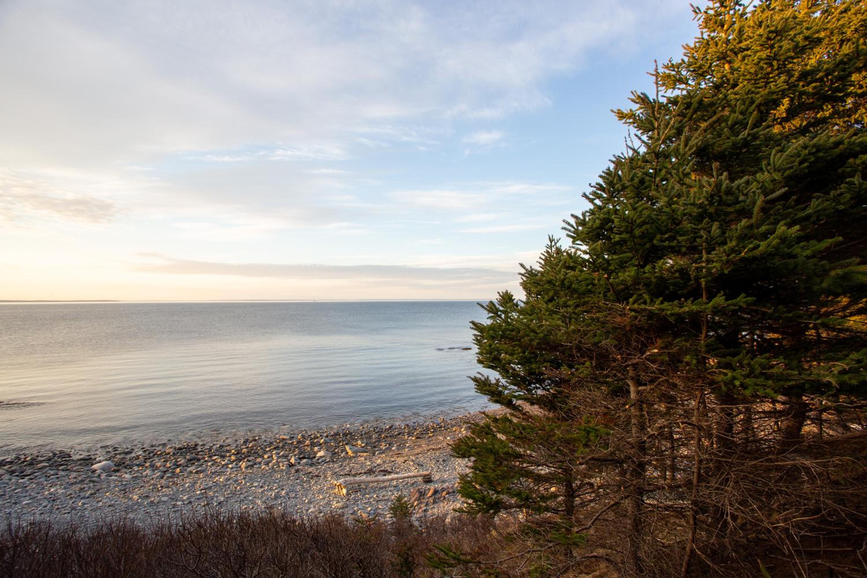 Cove & Sea Cabin