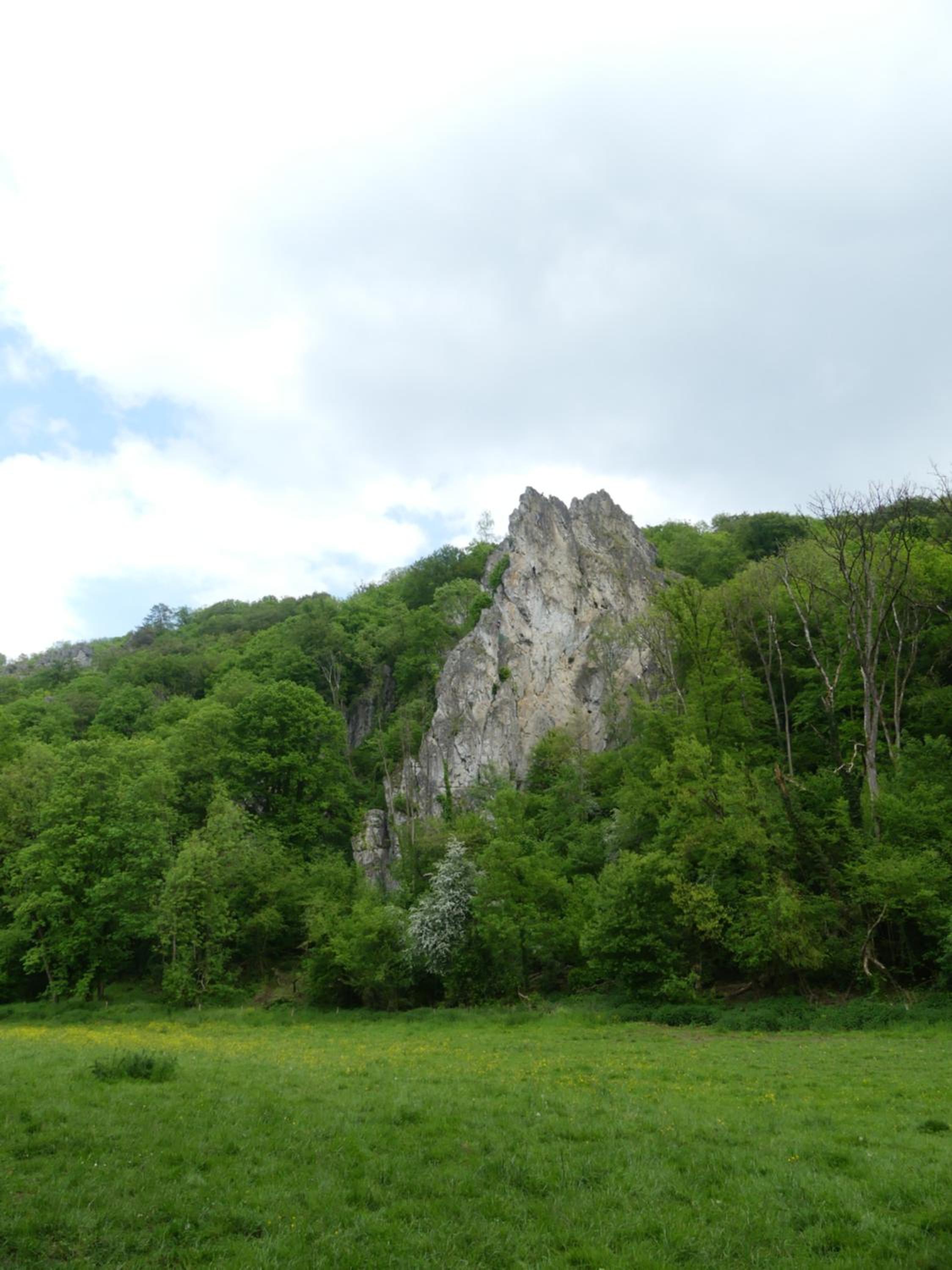 Au bois charmant