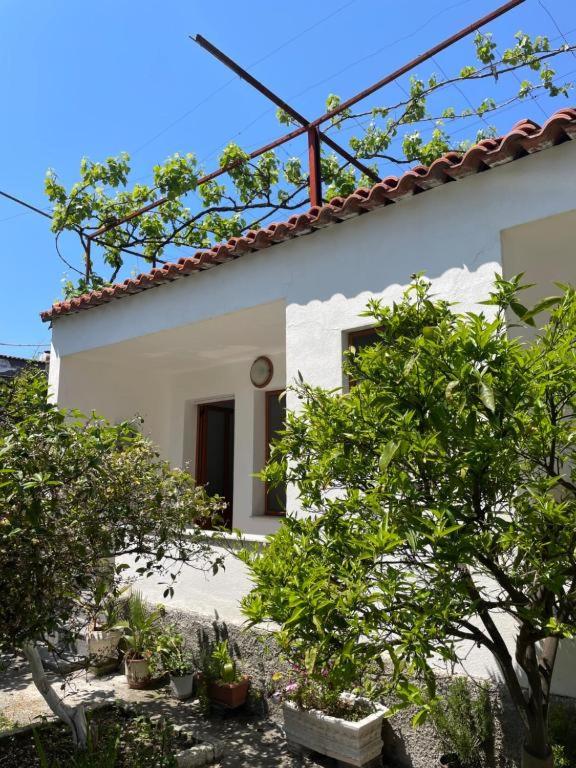 VILA CANO Boutique