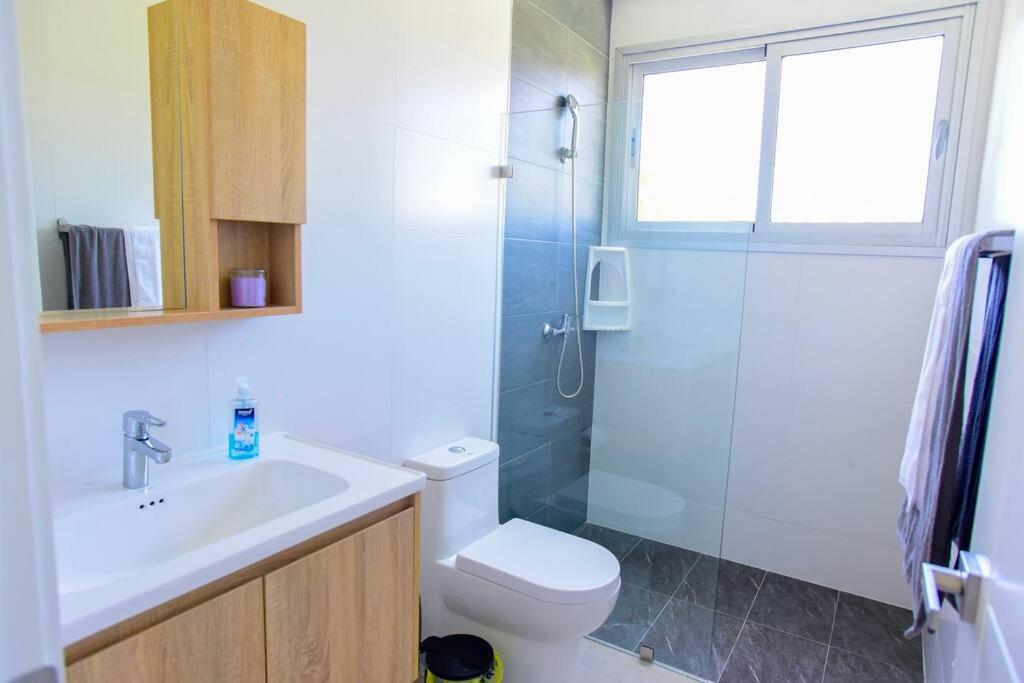 Luxury Villa Playa Nueva Romana