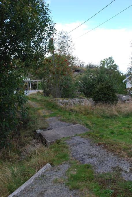 Photo 16