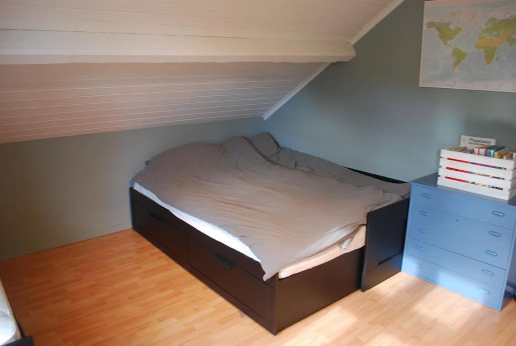 Photo 21