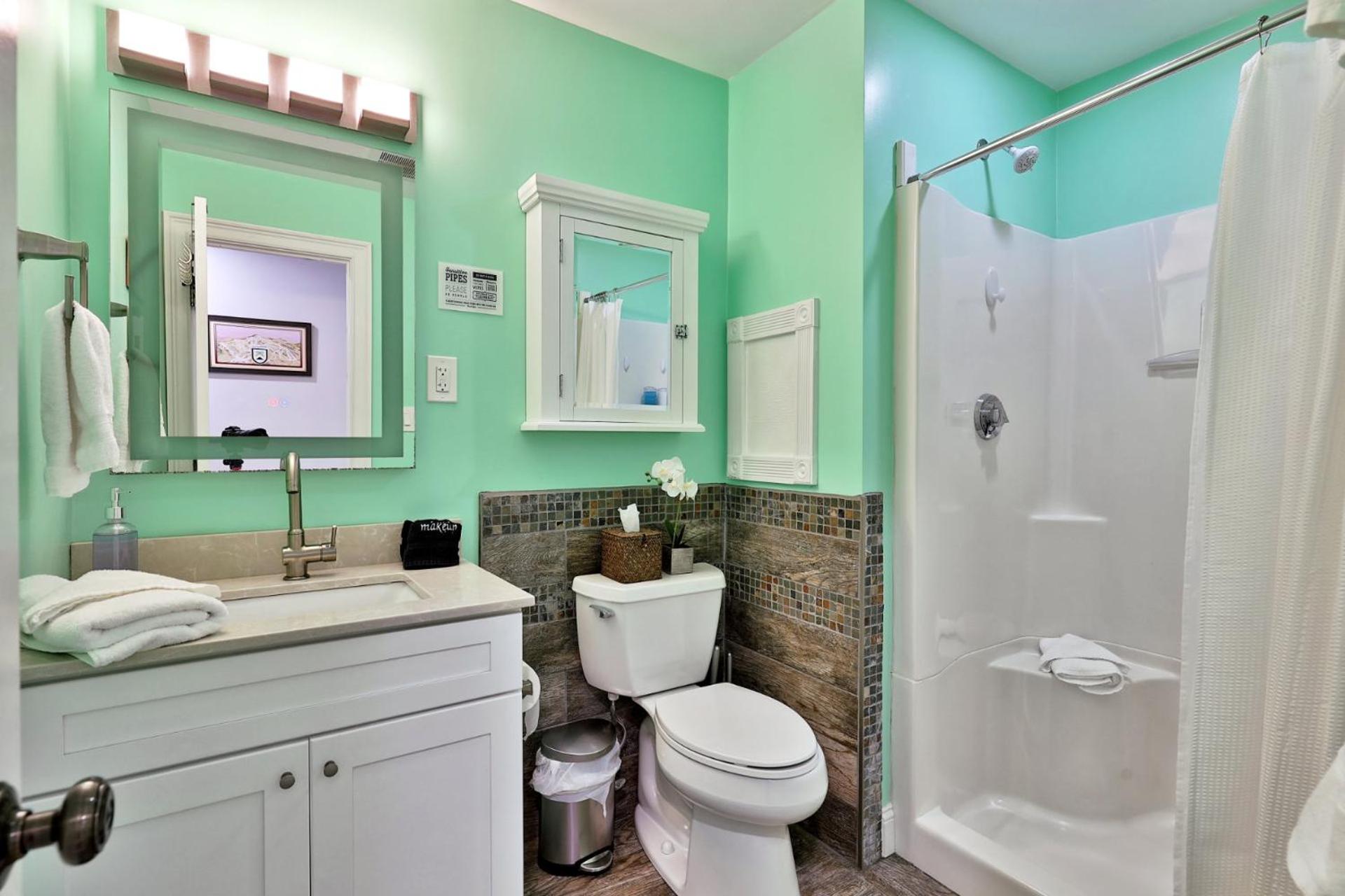 Fun In Fun Out Ski Home - 6 BR 4BA, Two Hot Tubs, Two Saunas, Two Levels, BBQ