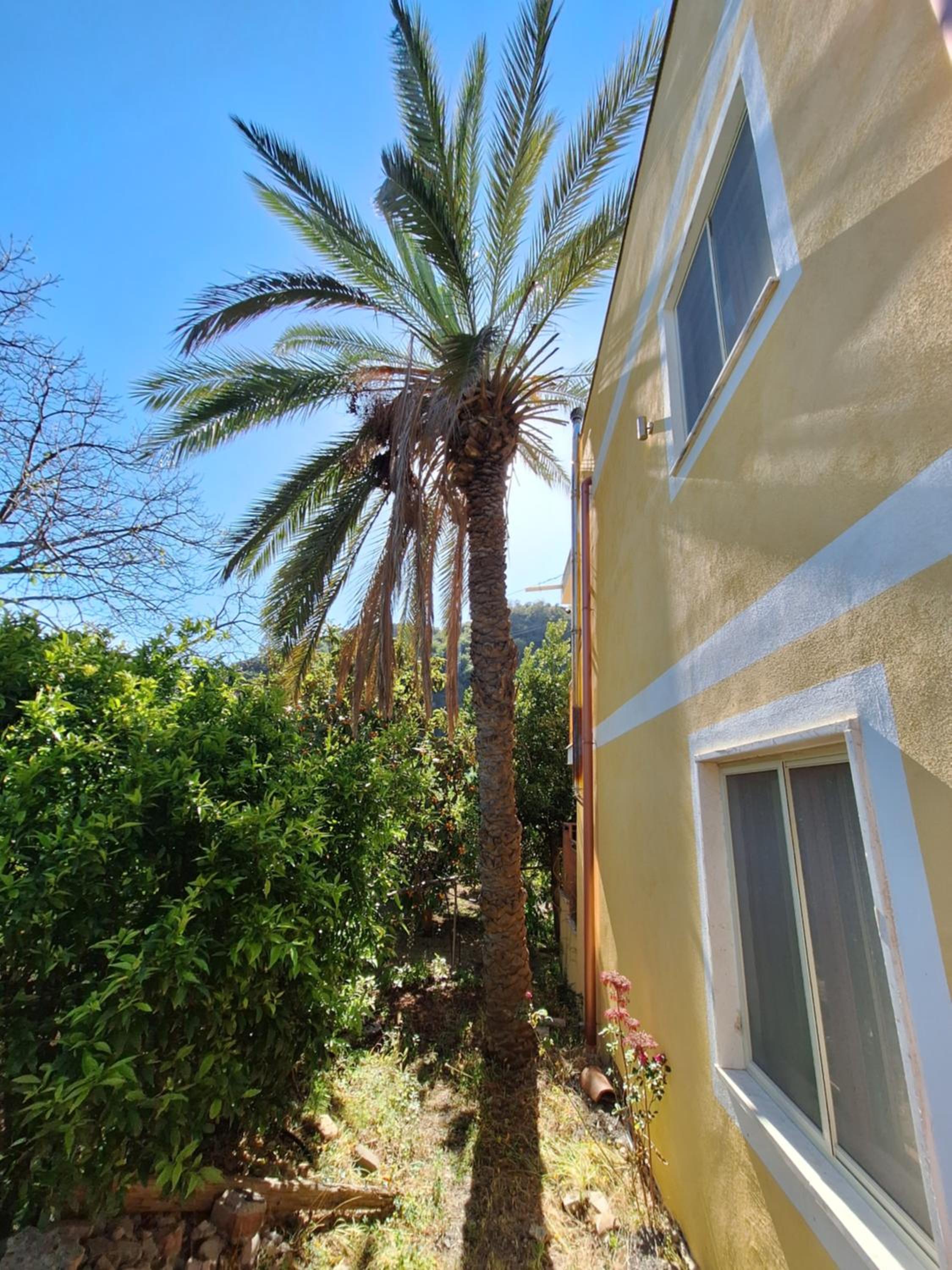Casa Vacanze Geppy e Minù Gole Alcantara view 5