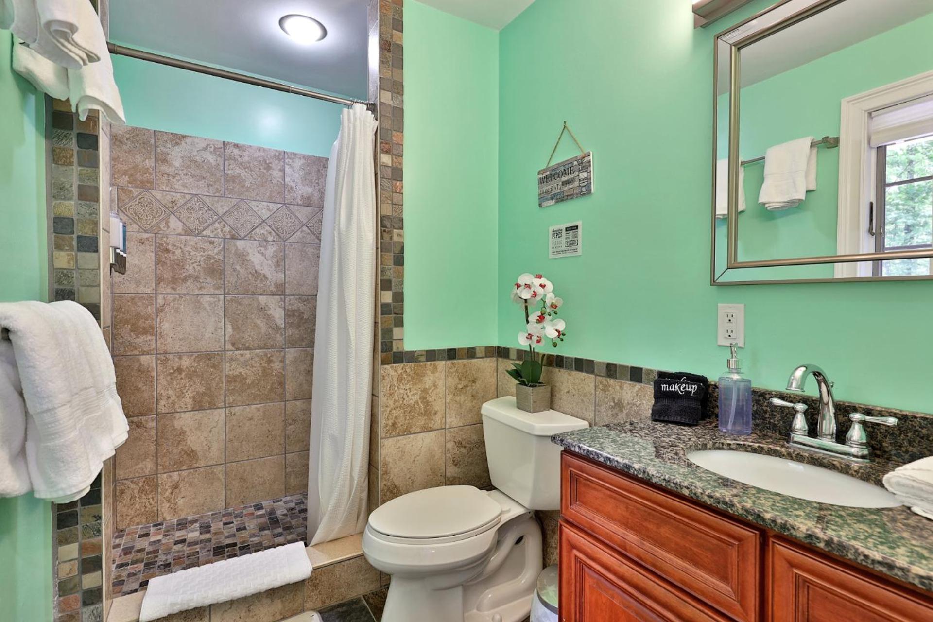 Fun In Fun Out Ski Home - 6 BR 4BA, Two Hot Tubs, Two Saunas, Two Levels, BBQ